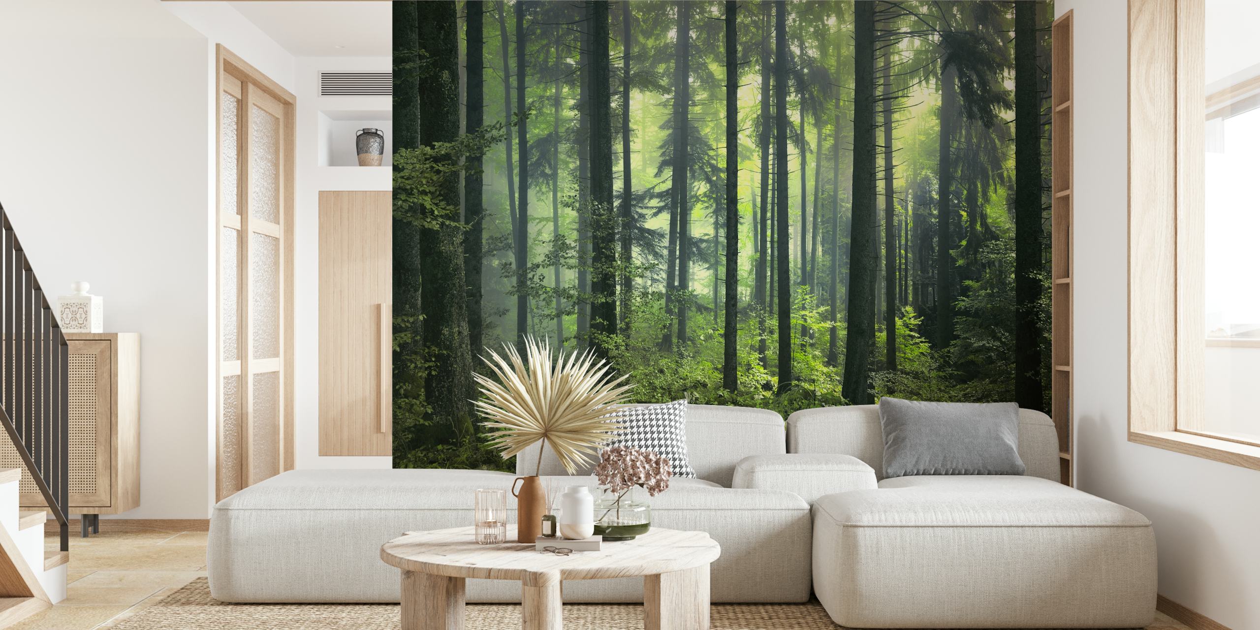 Dense green forest with tall trees and foliage wallpaper