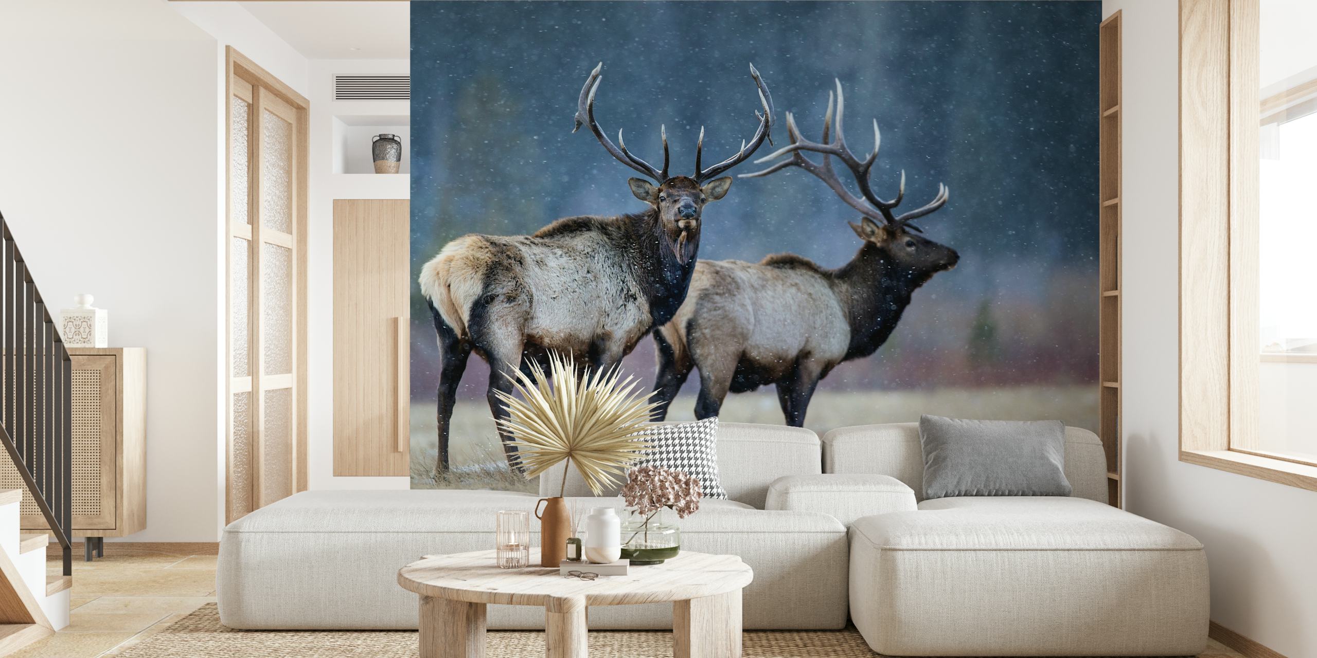 First snow wallpaper in a cozy room