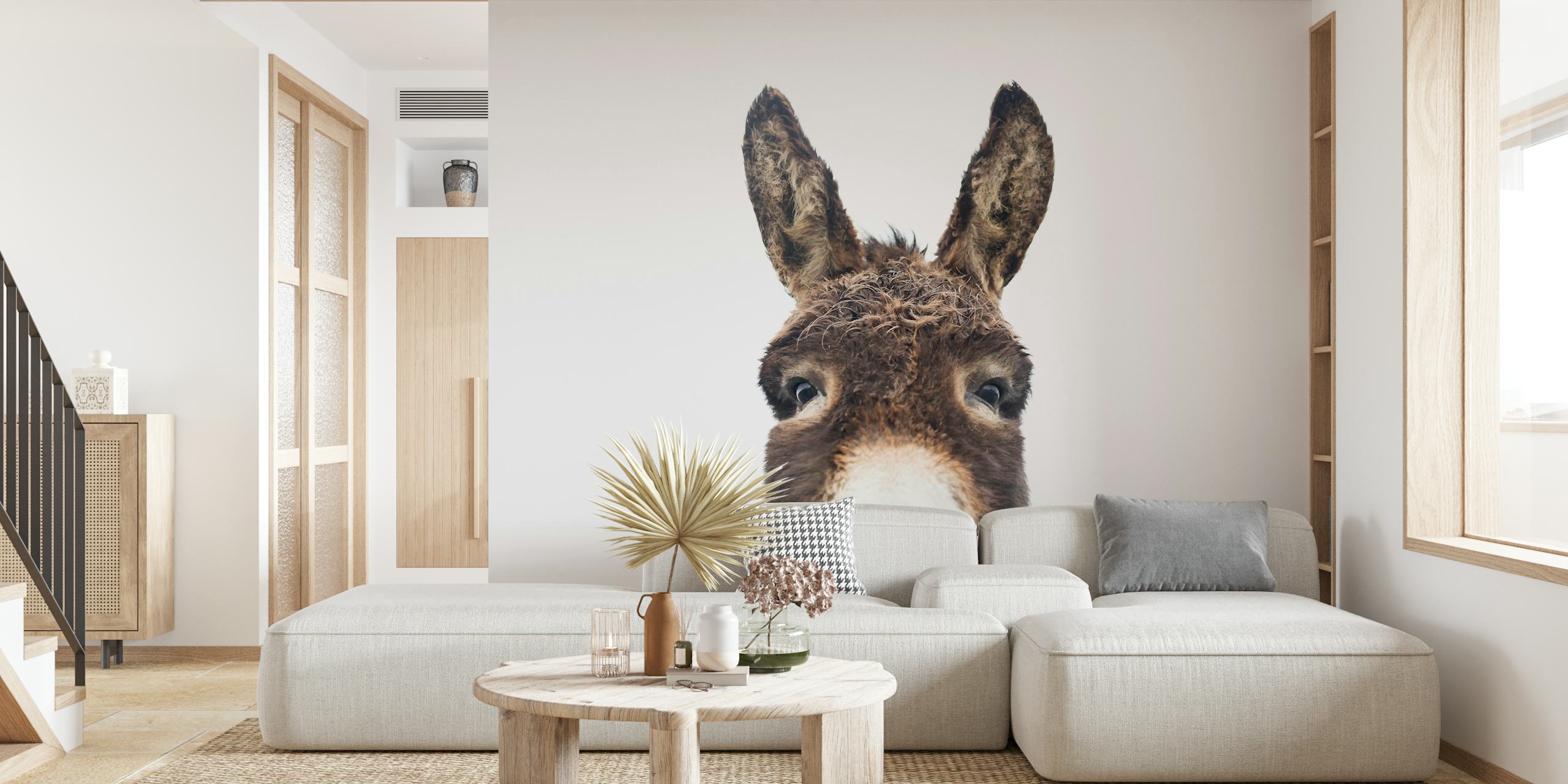 Close-up of a donkey's face, brown fur and white background wallpaper