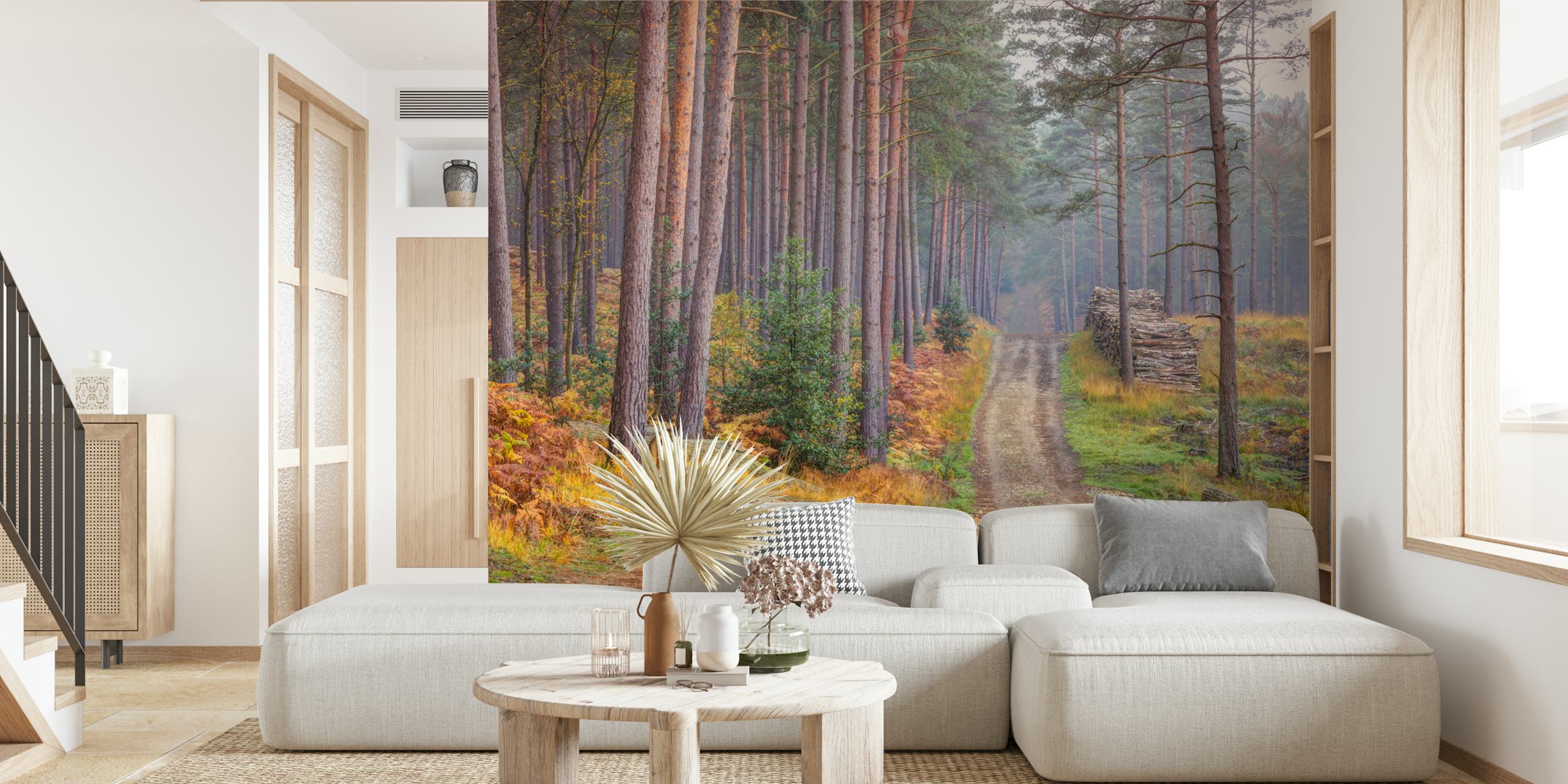 Papel de parede Serene Road Through Autumn Splendor em um quarto