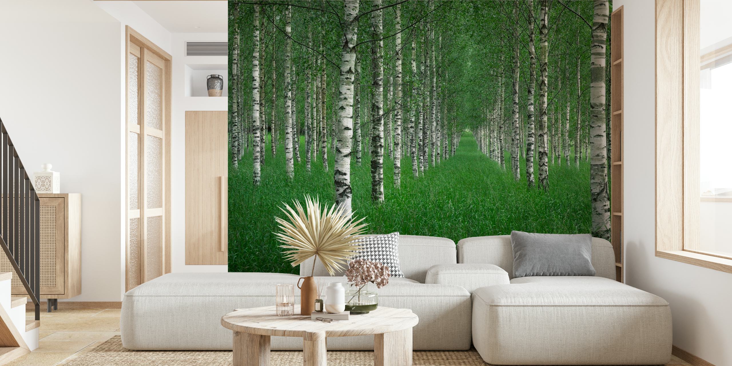 The Birch Tunnel wall mural featuring a forest path lined with birch trees