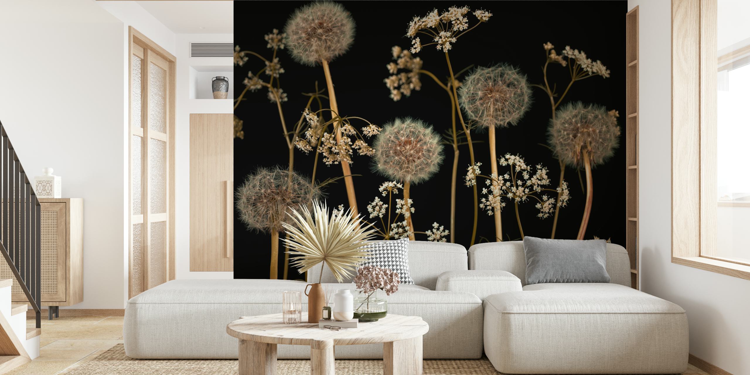 Dandelion flowers with intricate white blossoms on black background wallpaper