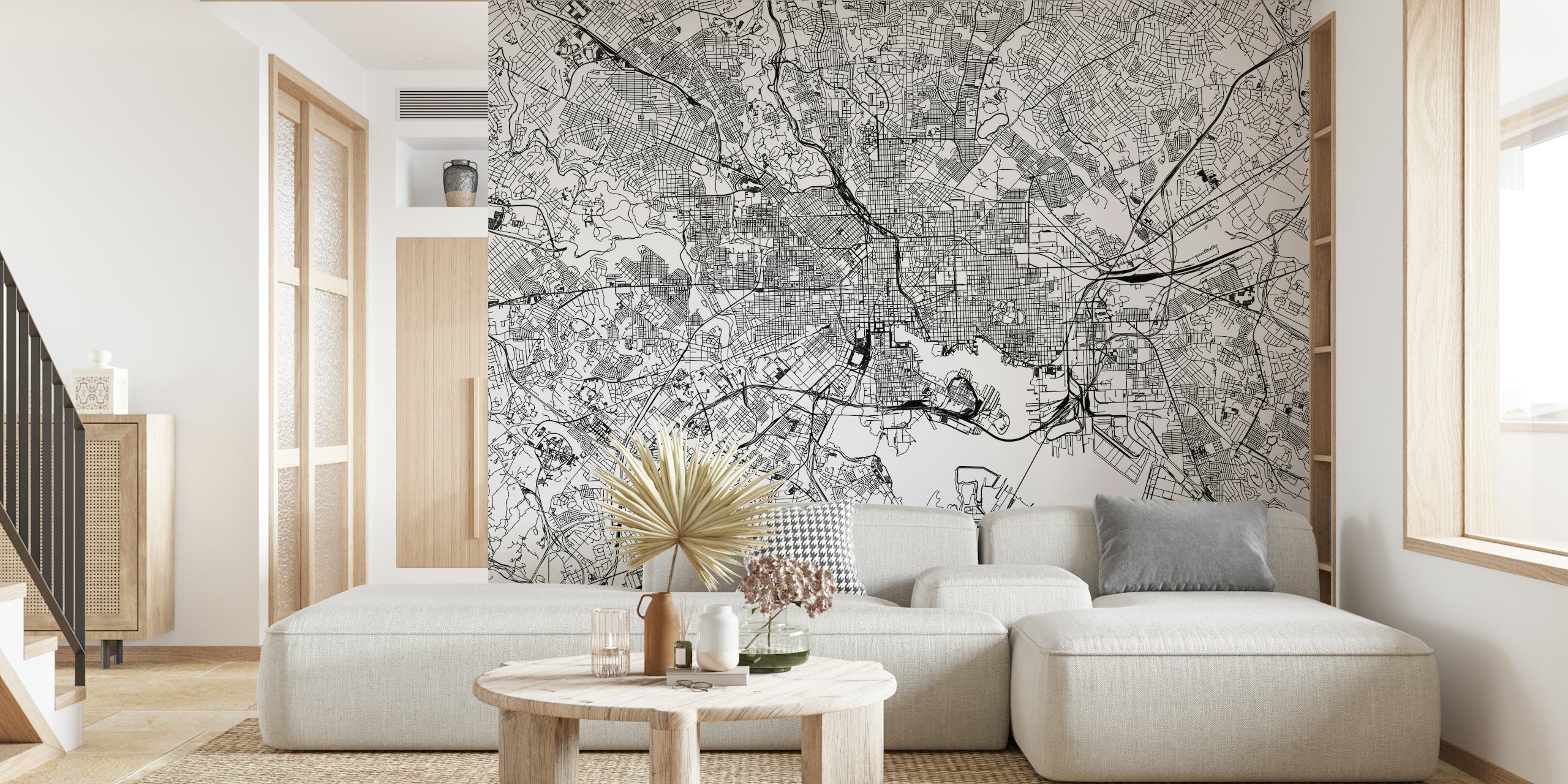 Vintage Baltimore Map Seinämuraali