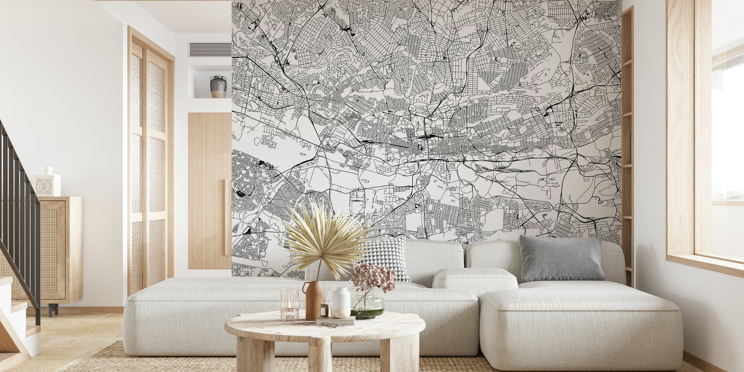 Johannesburg city street map wall mural in monochrome