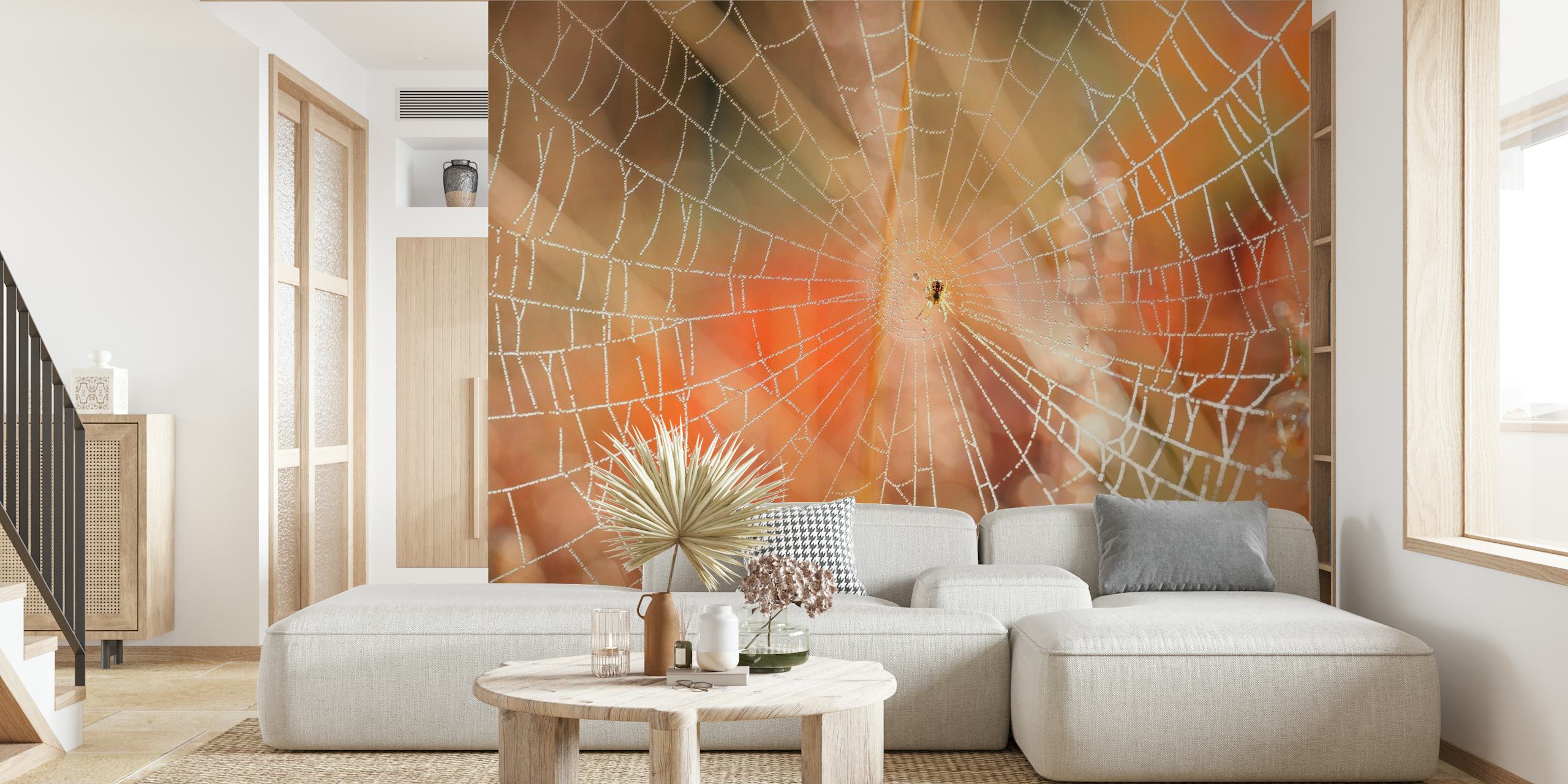 Intricate spider web wall mural with morning dew