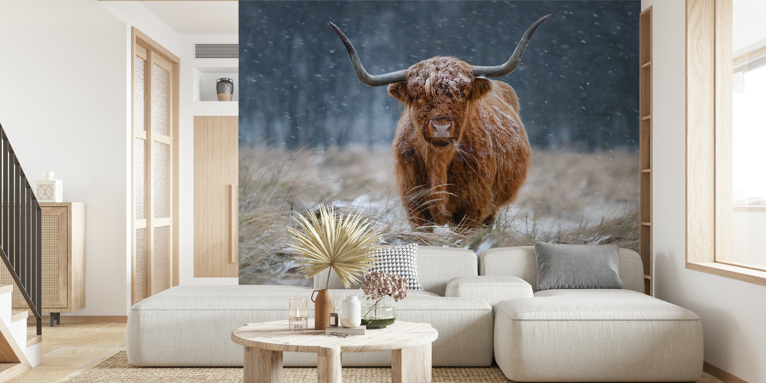Tapeta Snowy Highland cow w przytulnym otoczeniu