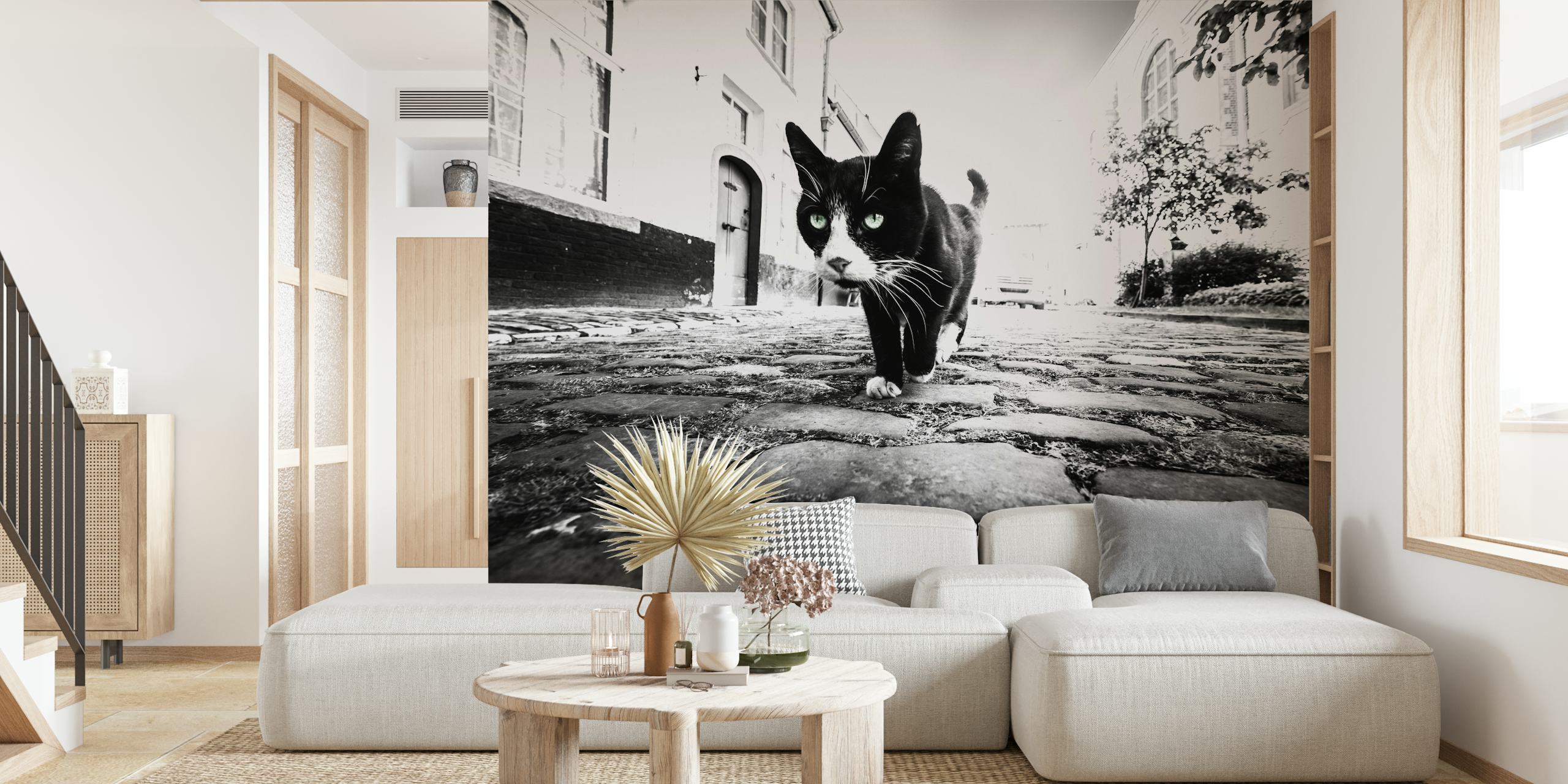 black and white cat walking on cobblestone street wallpaper