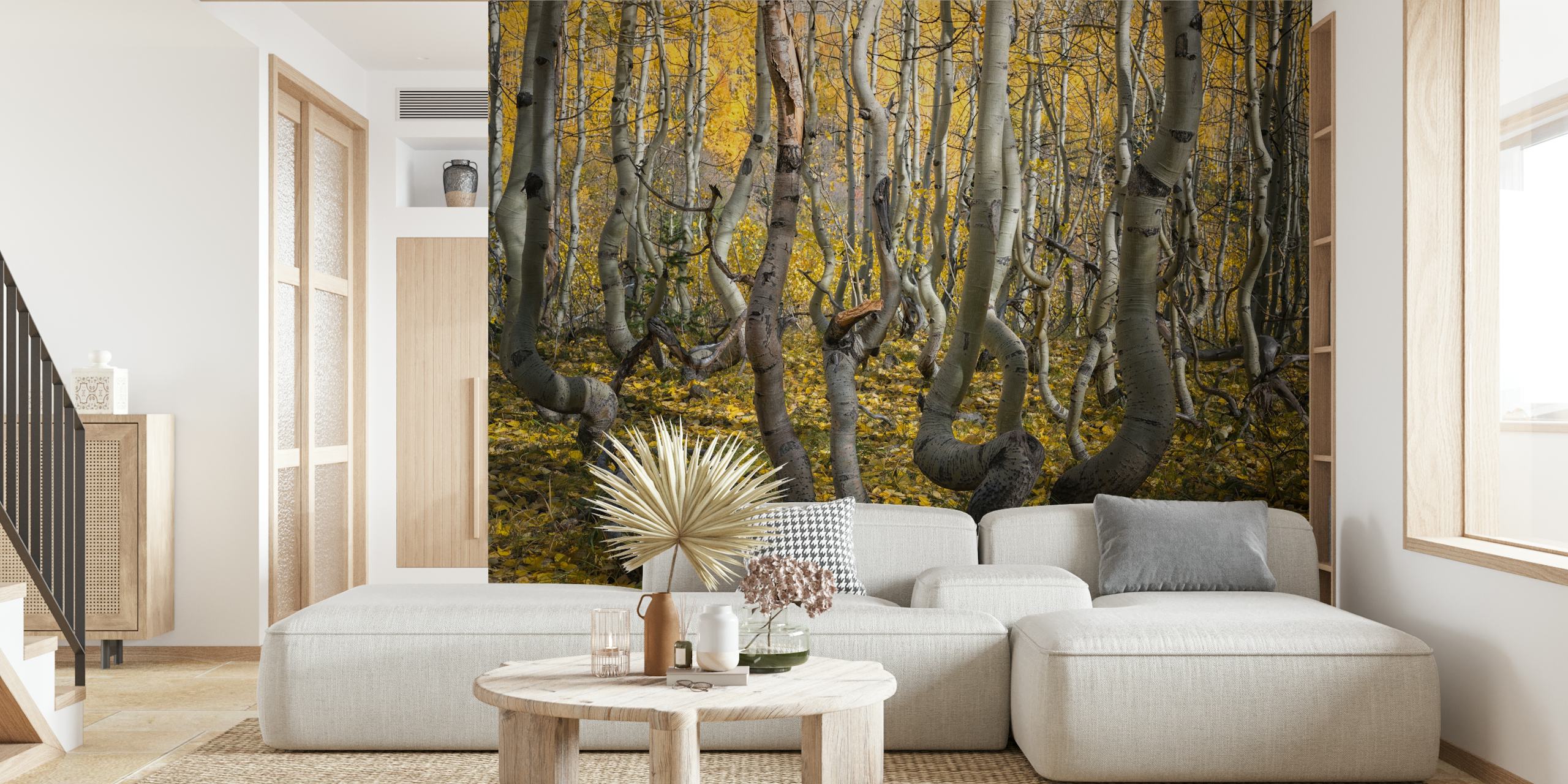 Crooked Aspen wallpaper in a room setting