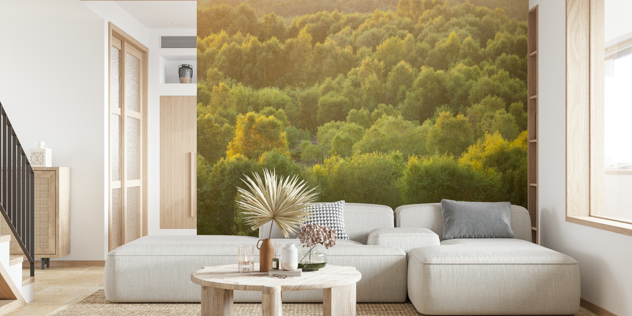 Lush green trees under soft sunlight wallpaper