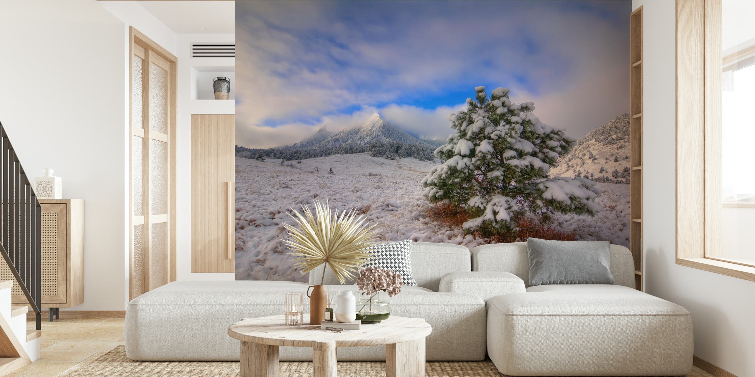 Snötäckt Flatirons-landskap med tapet av tall