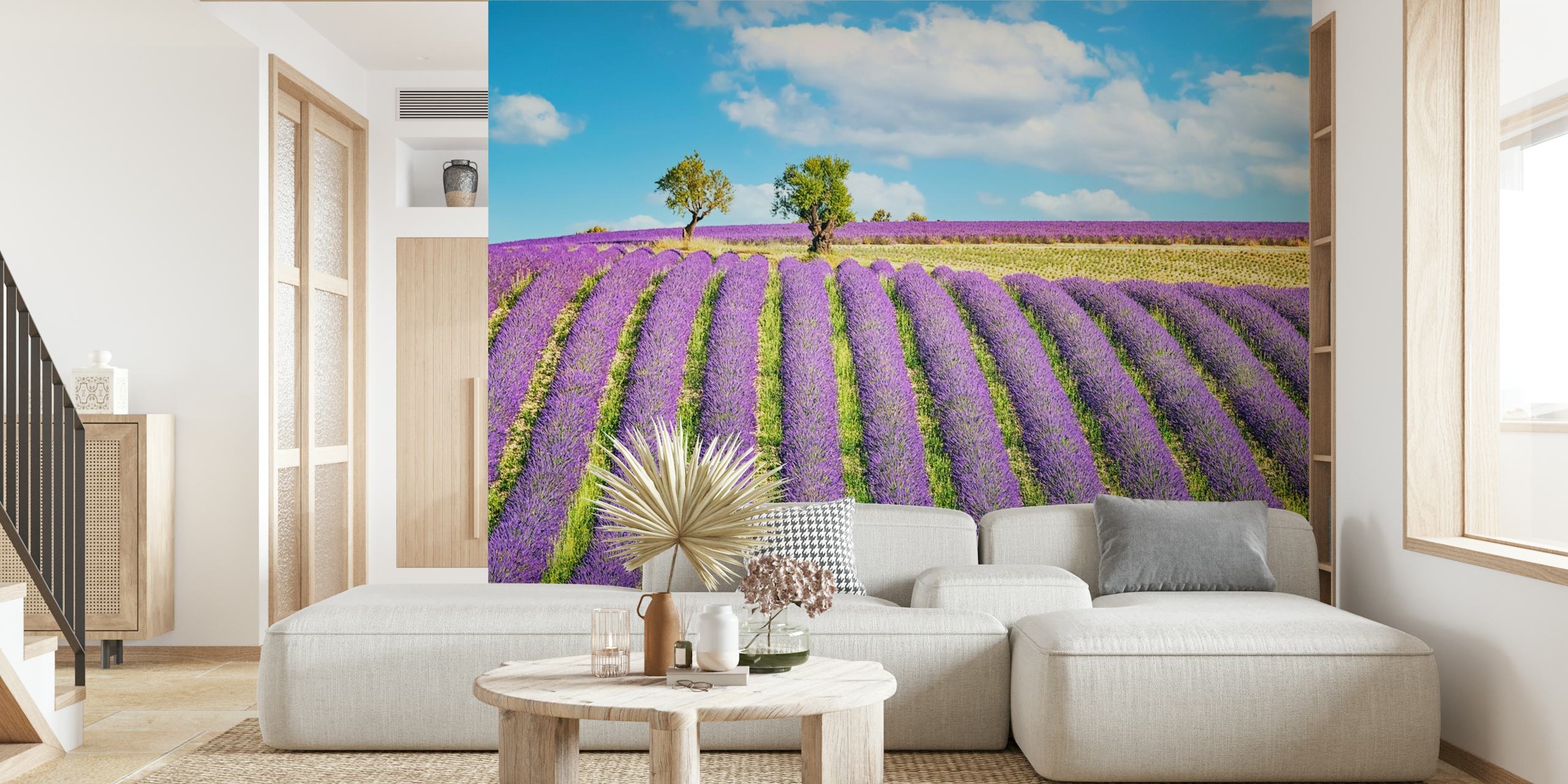 Tapeta Provence Field z polami lawendy
