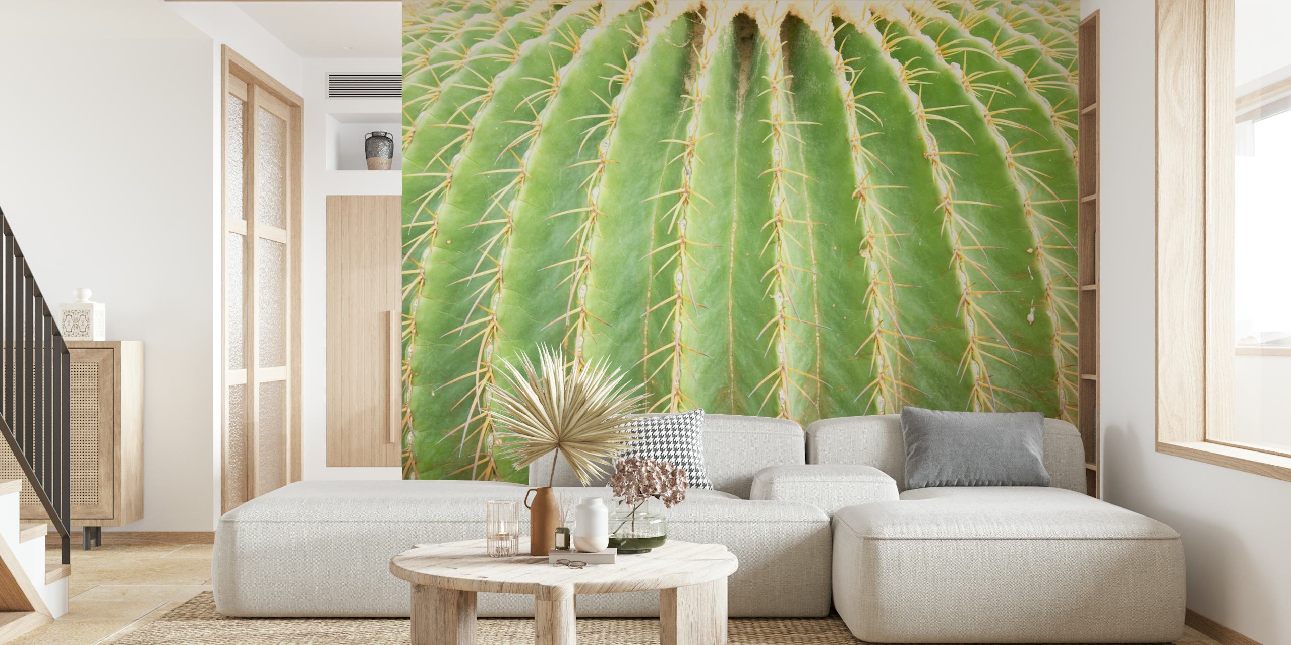 Primo piano di un cactus per design da parete