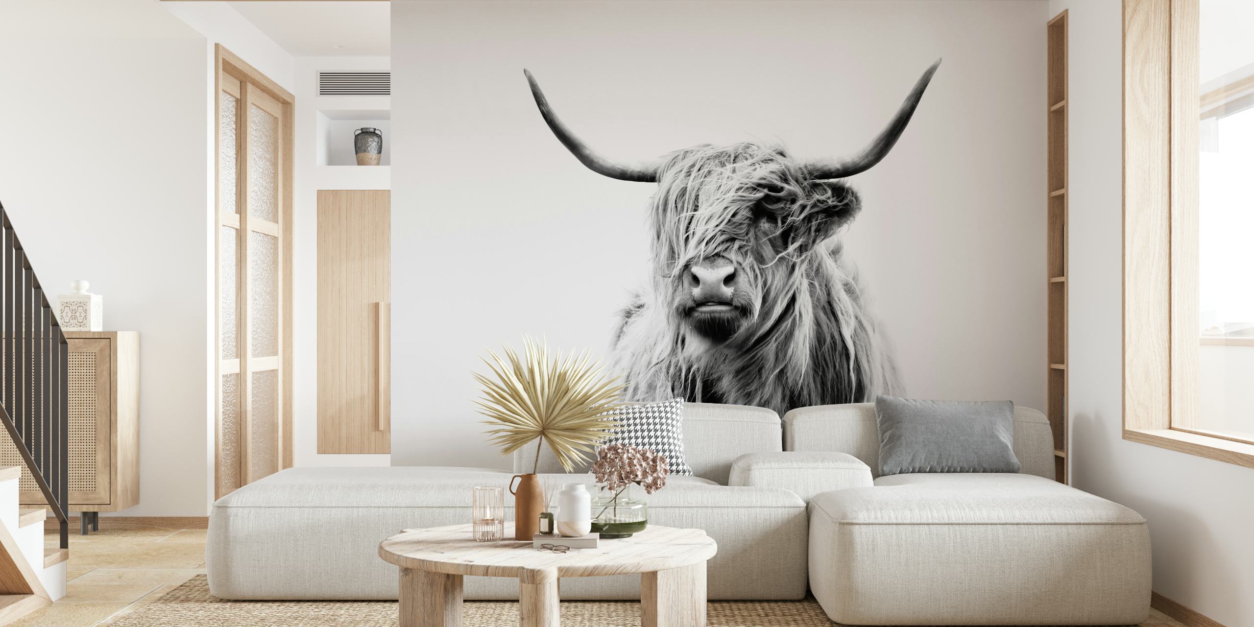 Portrait d'une vache Highland avec un pelage long et noir et blanc wallpaper