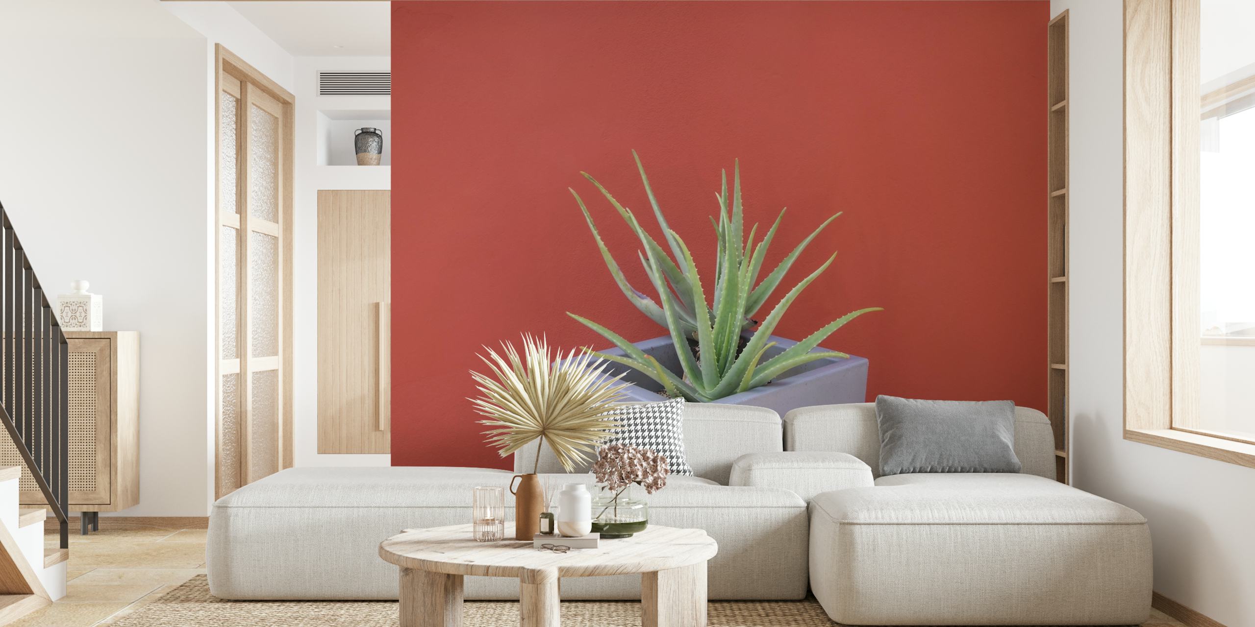 Planta de Aloe Vera em um vaso branco contra um fotomural vinílico de fundo de terracota
