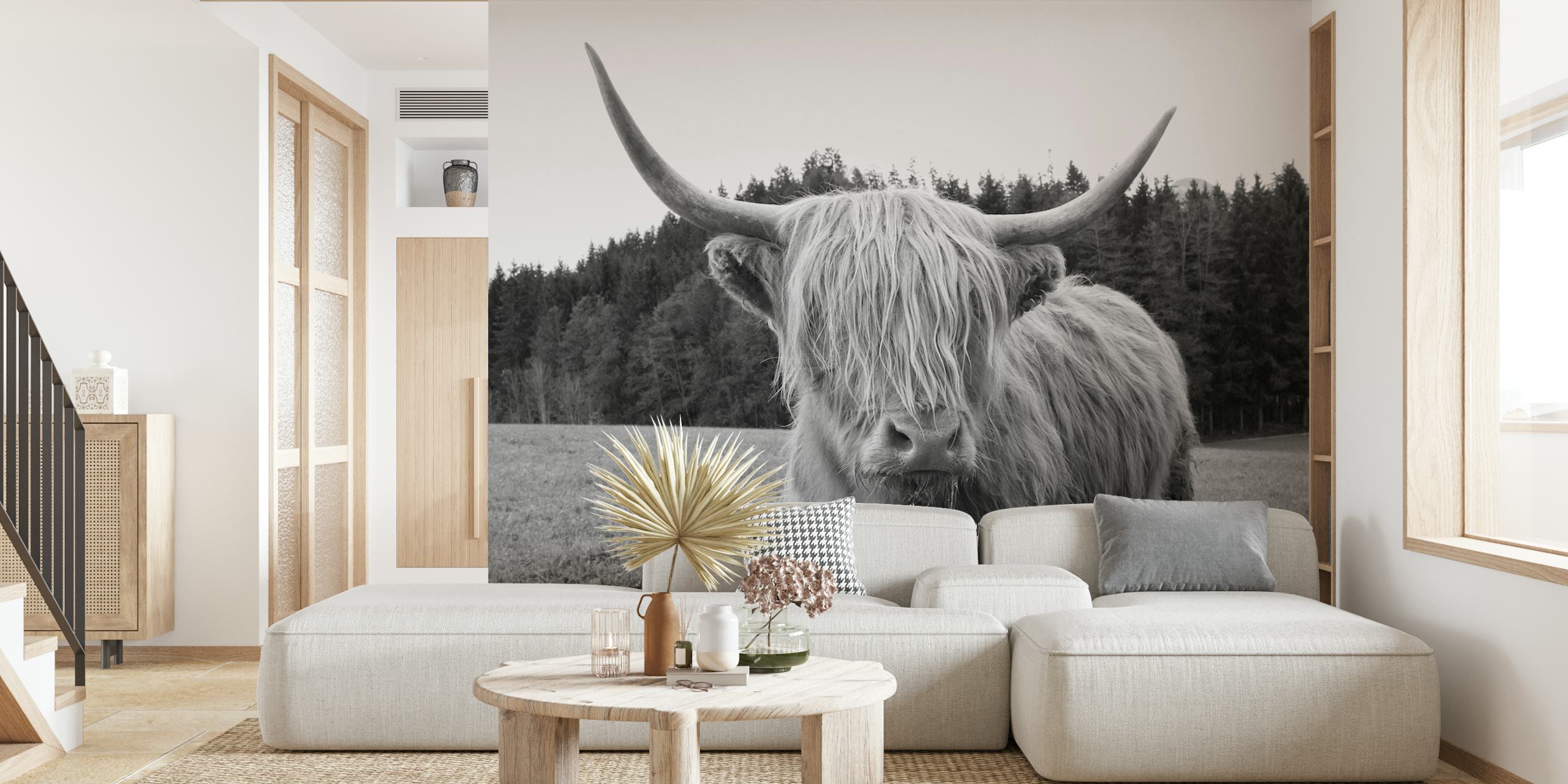 Highland Cow wallpaper in a room setting