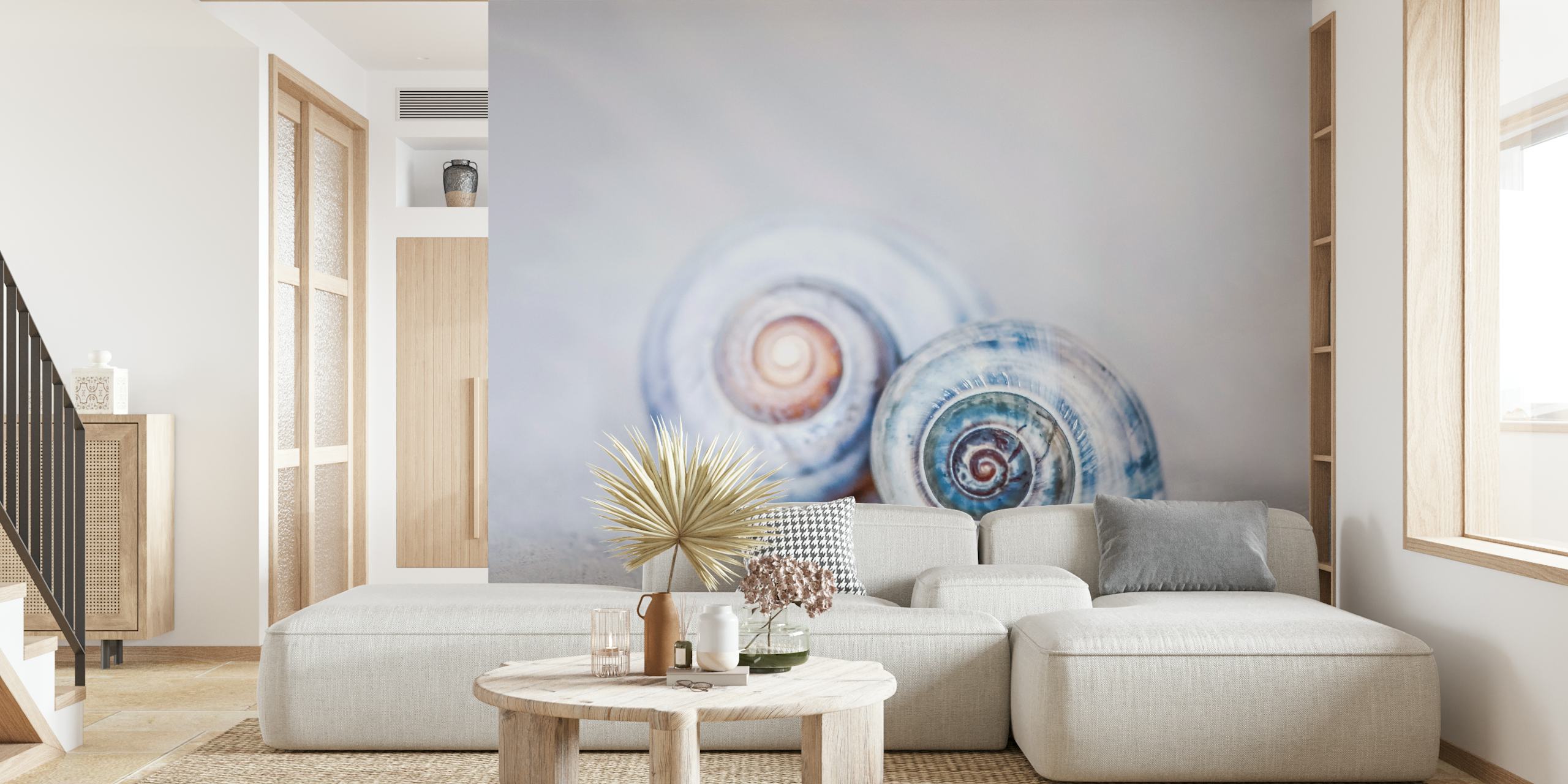Two spiral seashells in blue tones with soft background wallpaper