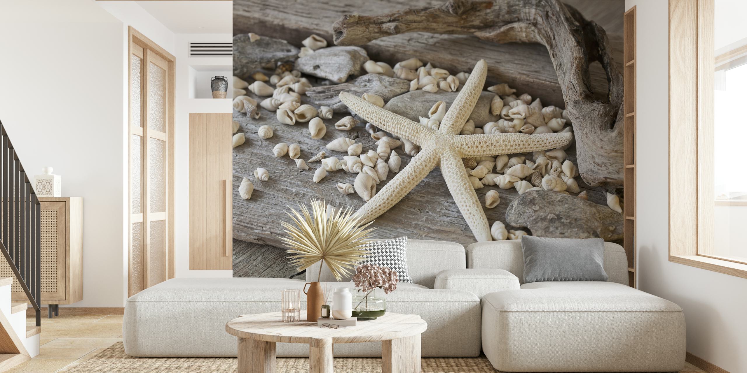 Starfish and seashells on wood textured wall mural