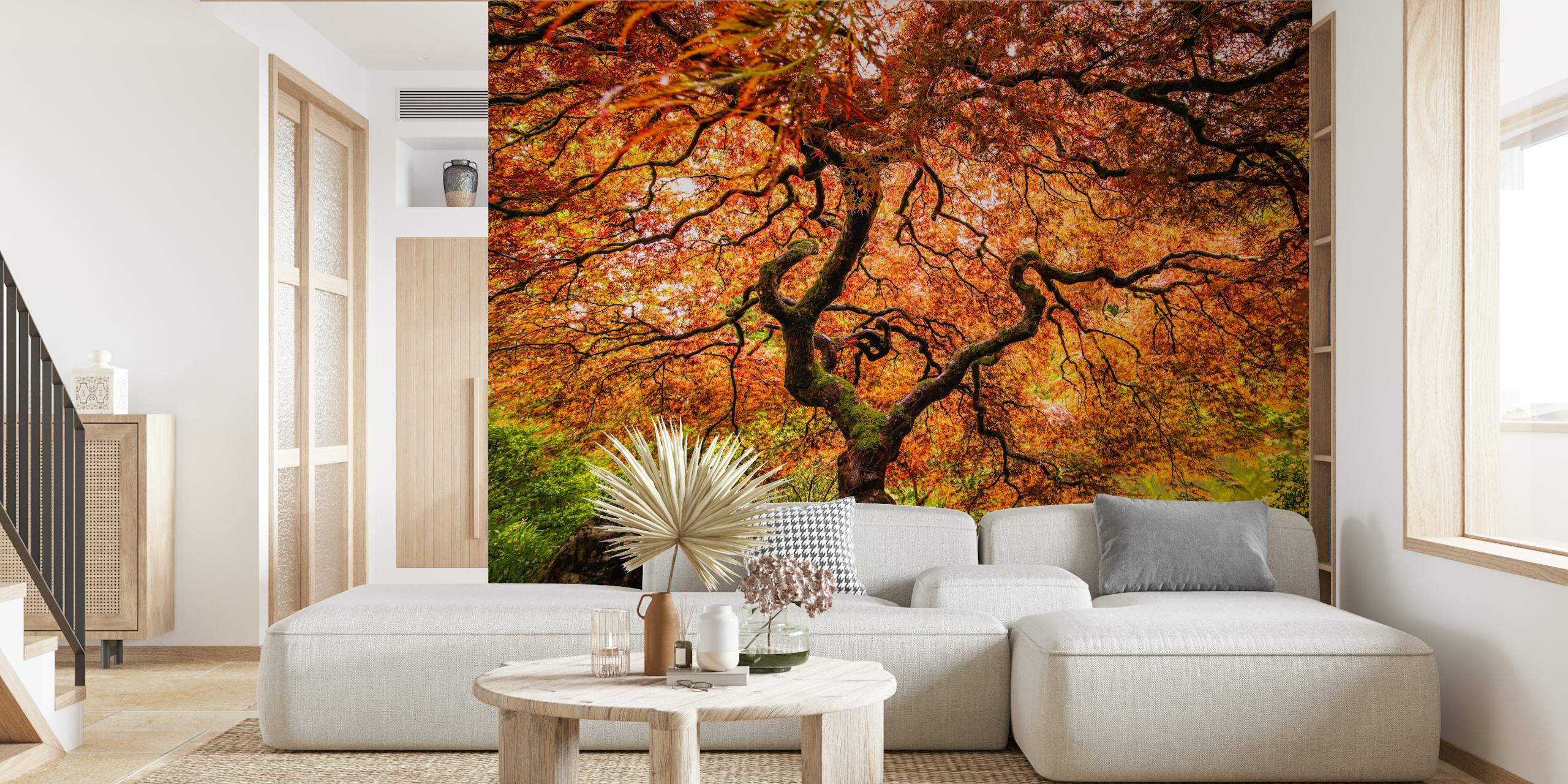 Wall mural of an old maple tree with autumn leaves