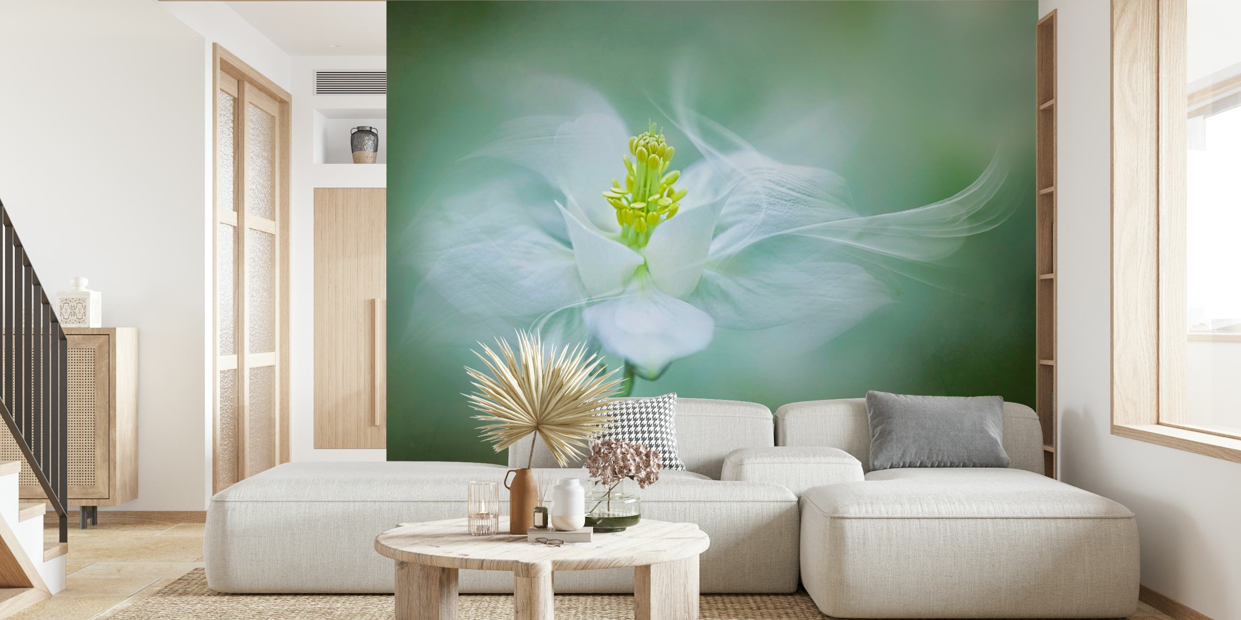 Delicate white flower with soft green background wallpaper