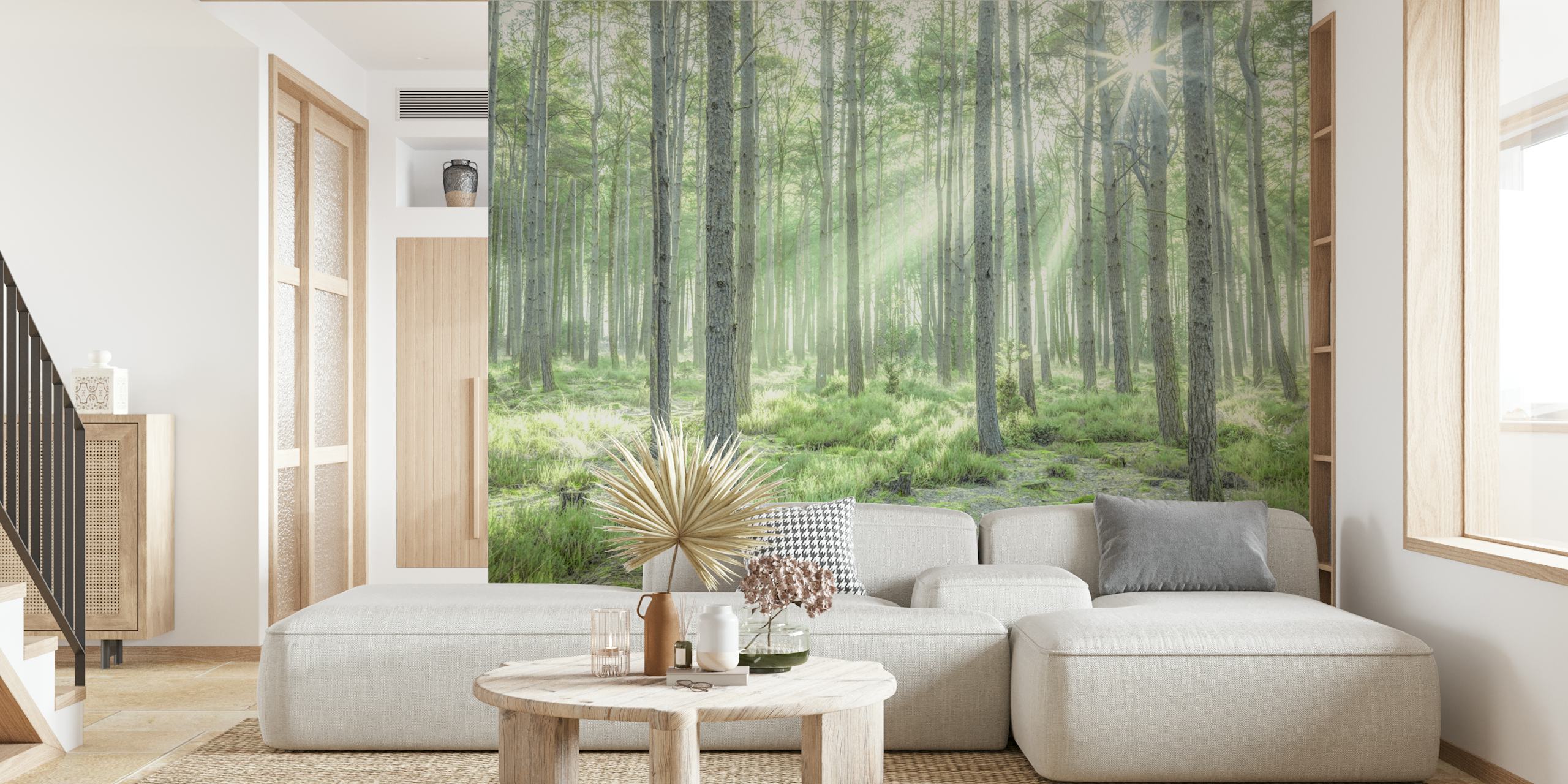 Forest Sunburst wallpaper in a room