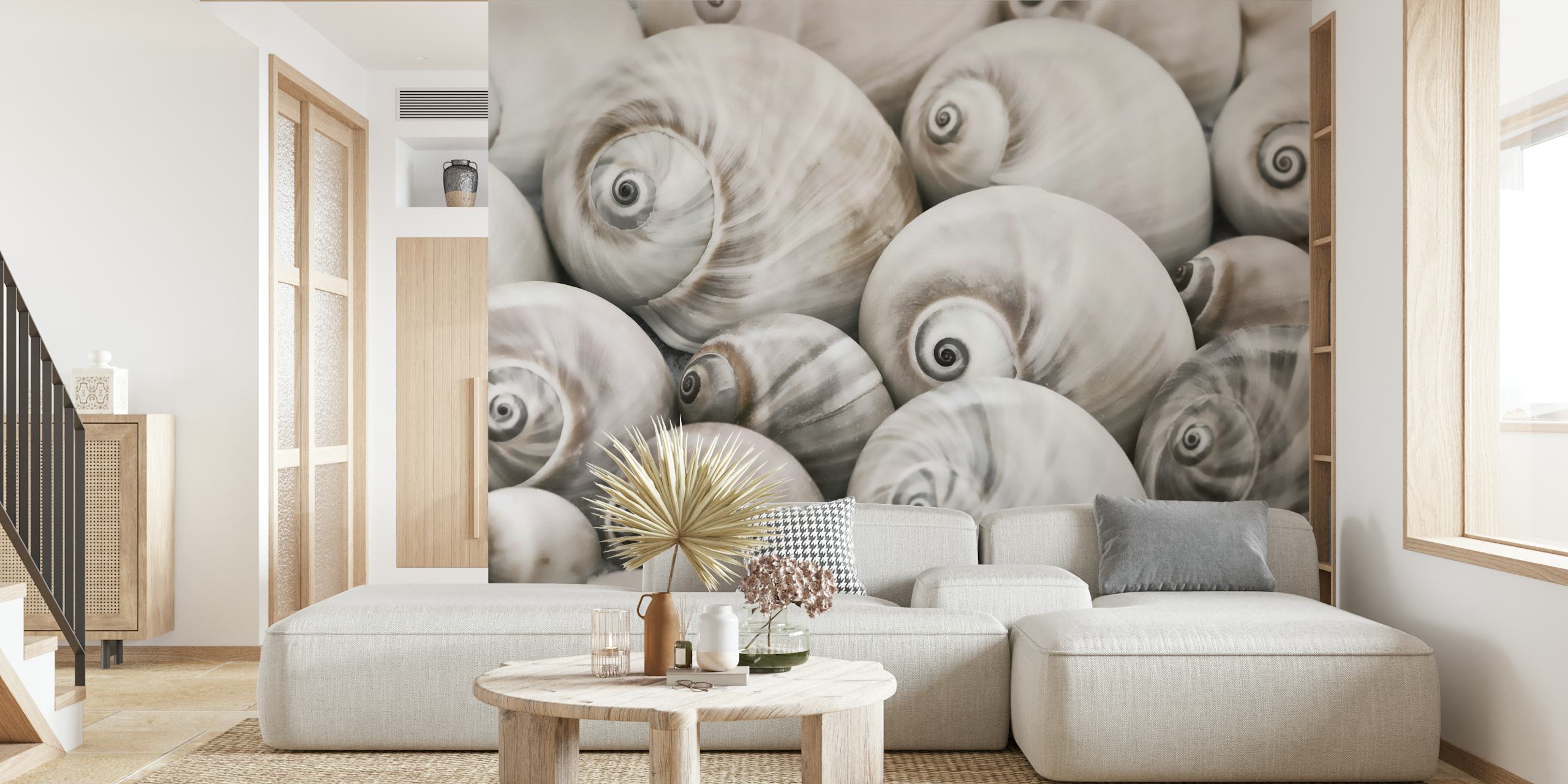 Close-up of spiral seashells in soft gray and white wallpaper