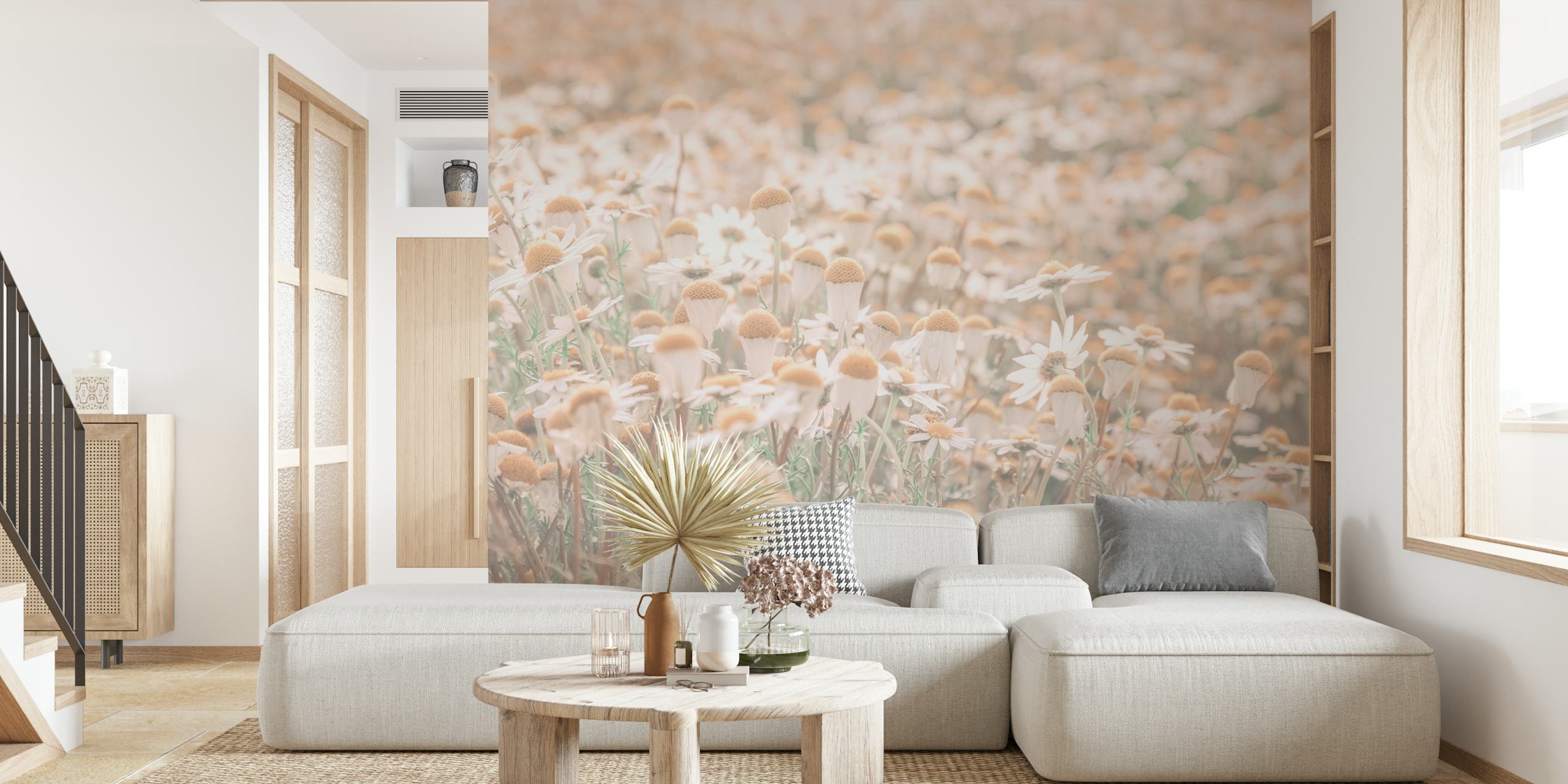 Field of white daisies with soft brown centers wallpaper