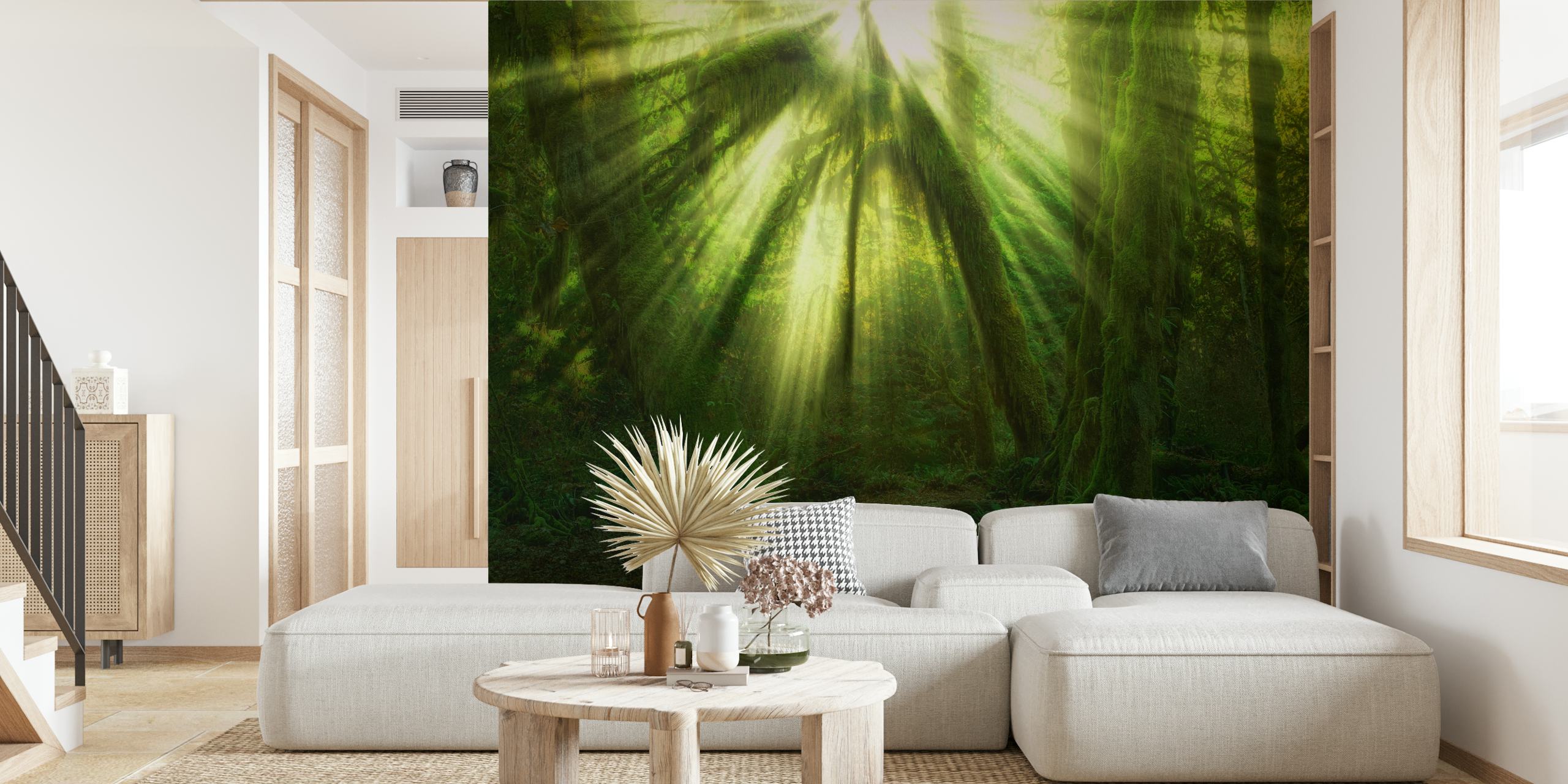 Miracle papier peint avec paysage forestier