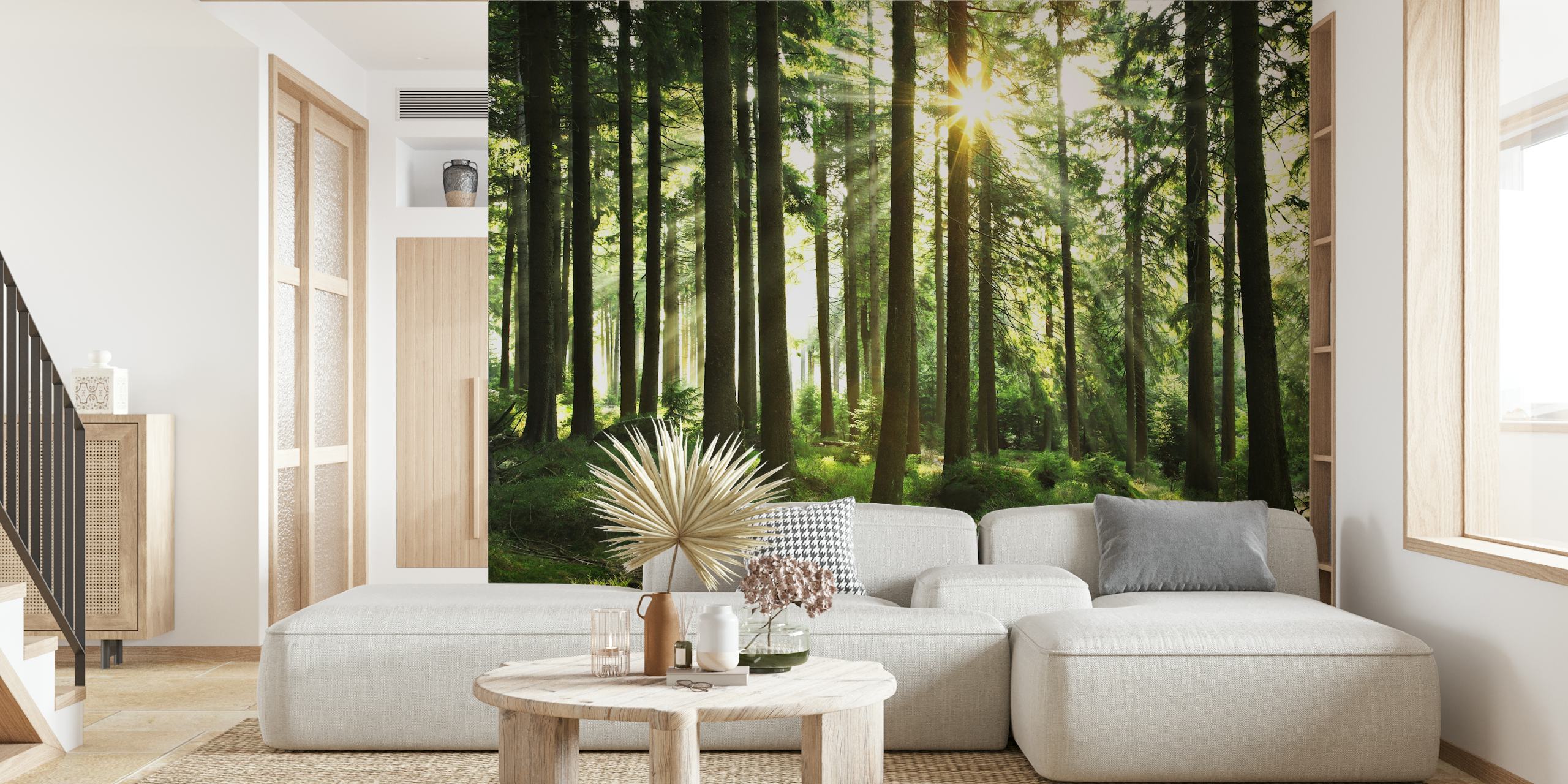 Sunlight filtering through tall trees in a green forest wallpaper