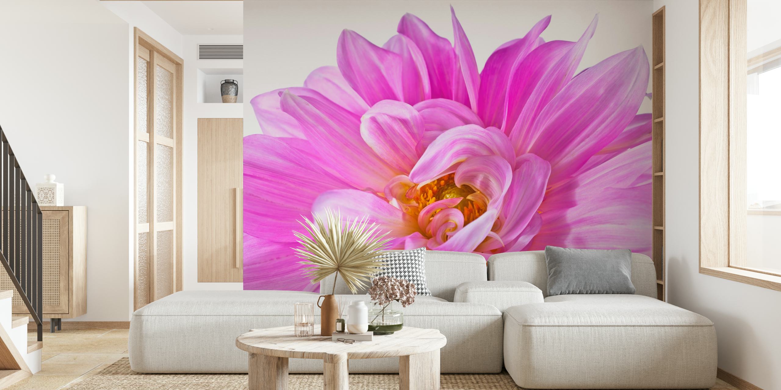 Light pink dahlia flower wallpaper with soft petals