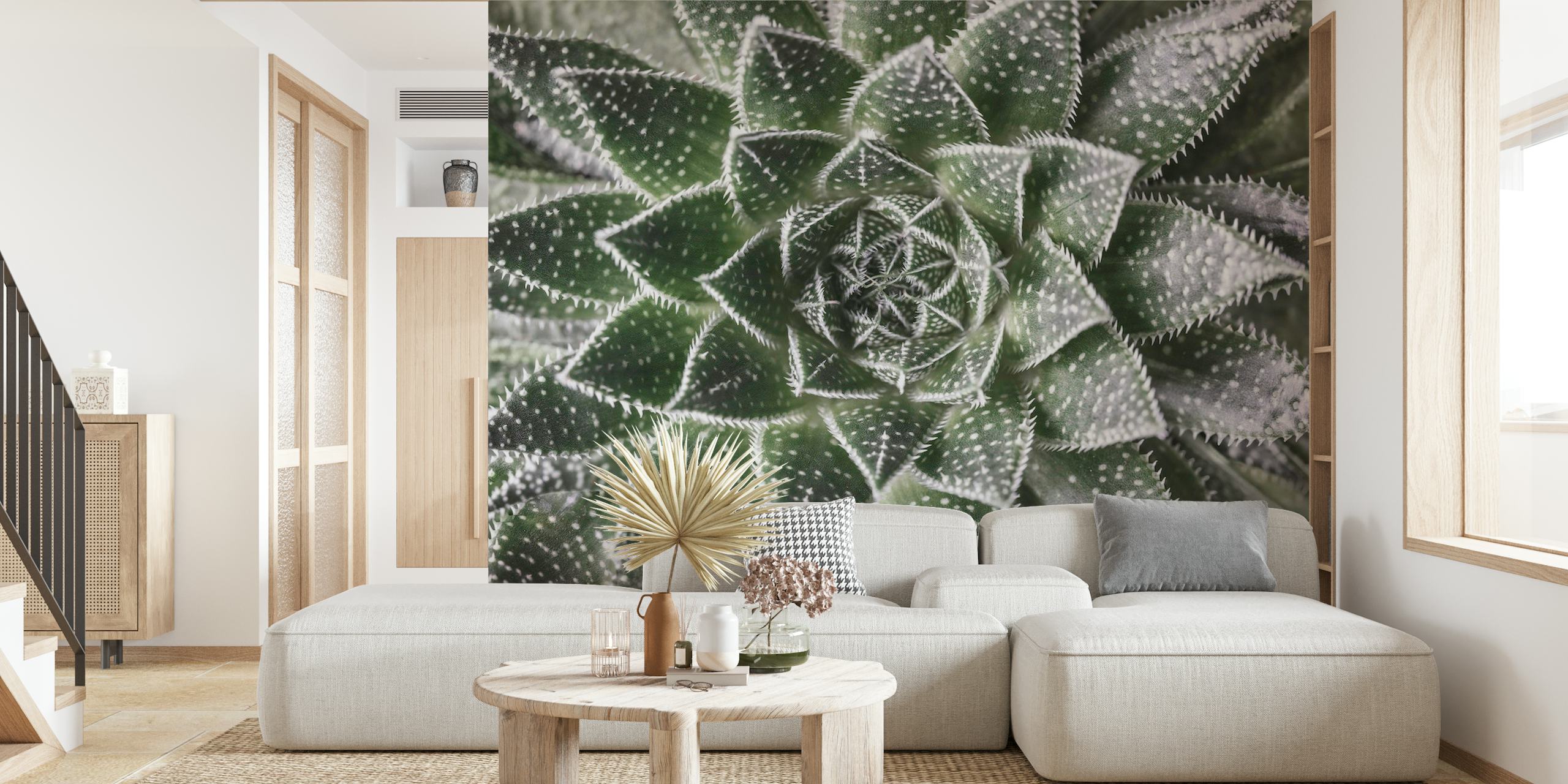 Aloe Aristata wallpaper