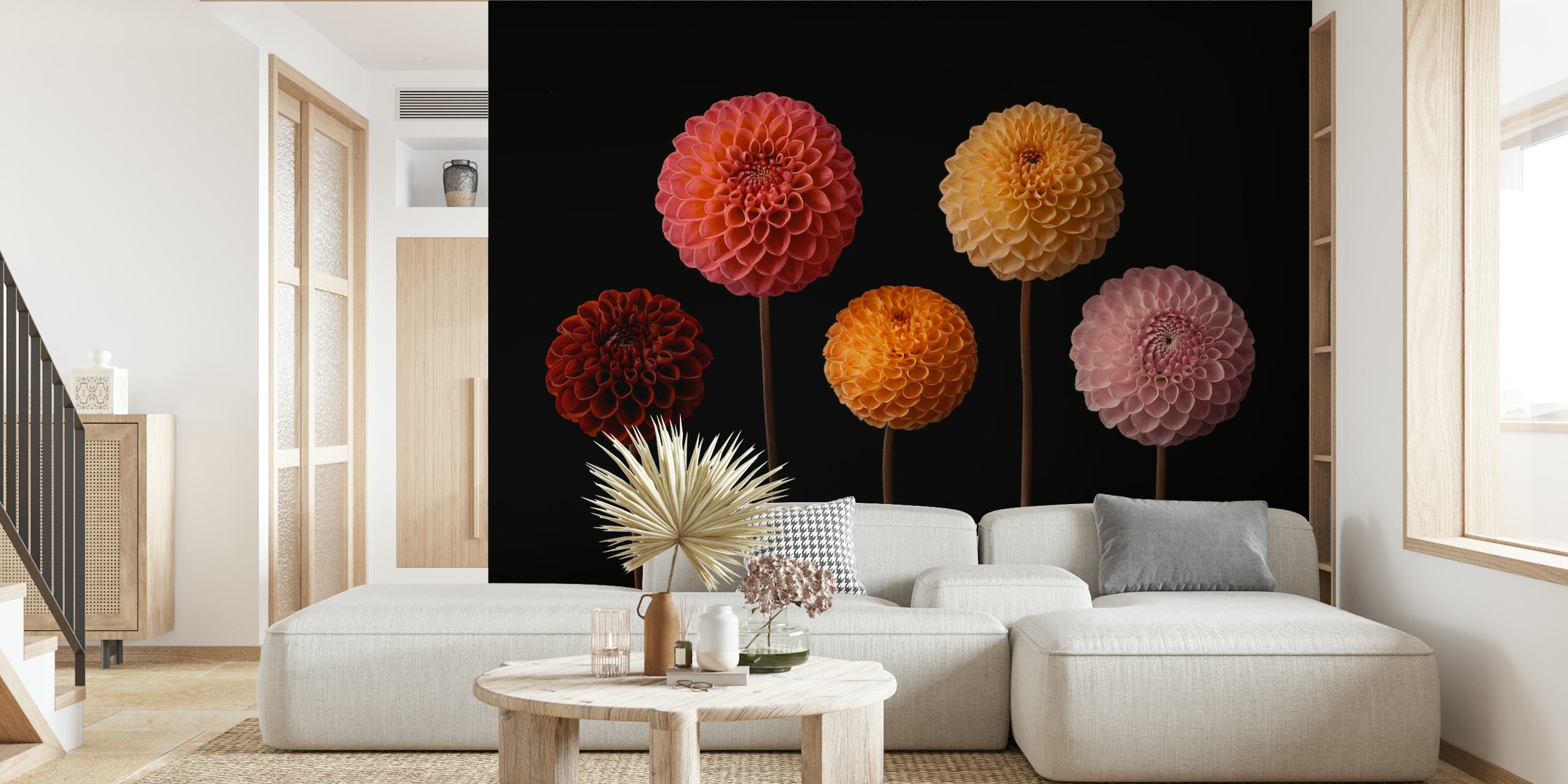 Colorful dahlia flowers in pink, yellow, and orange on black wallpaper