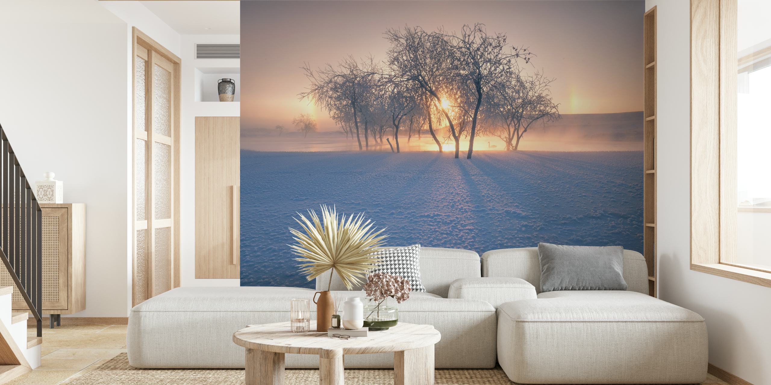 Swan Lake wallpaper in a serene setting