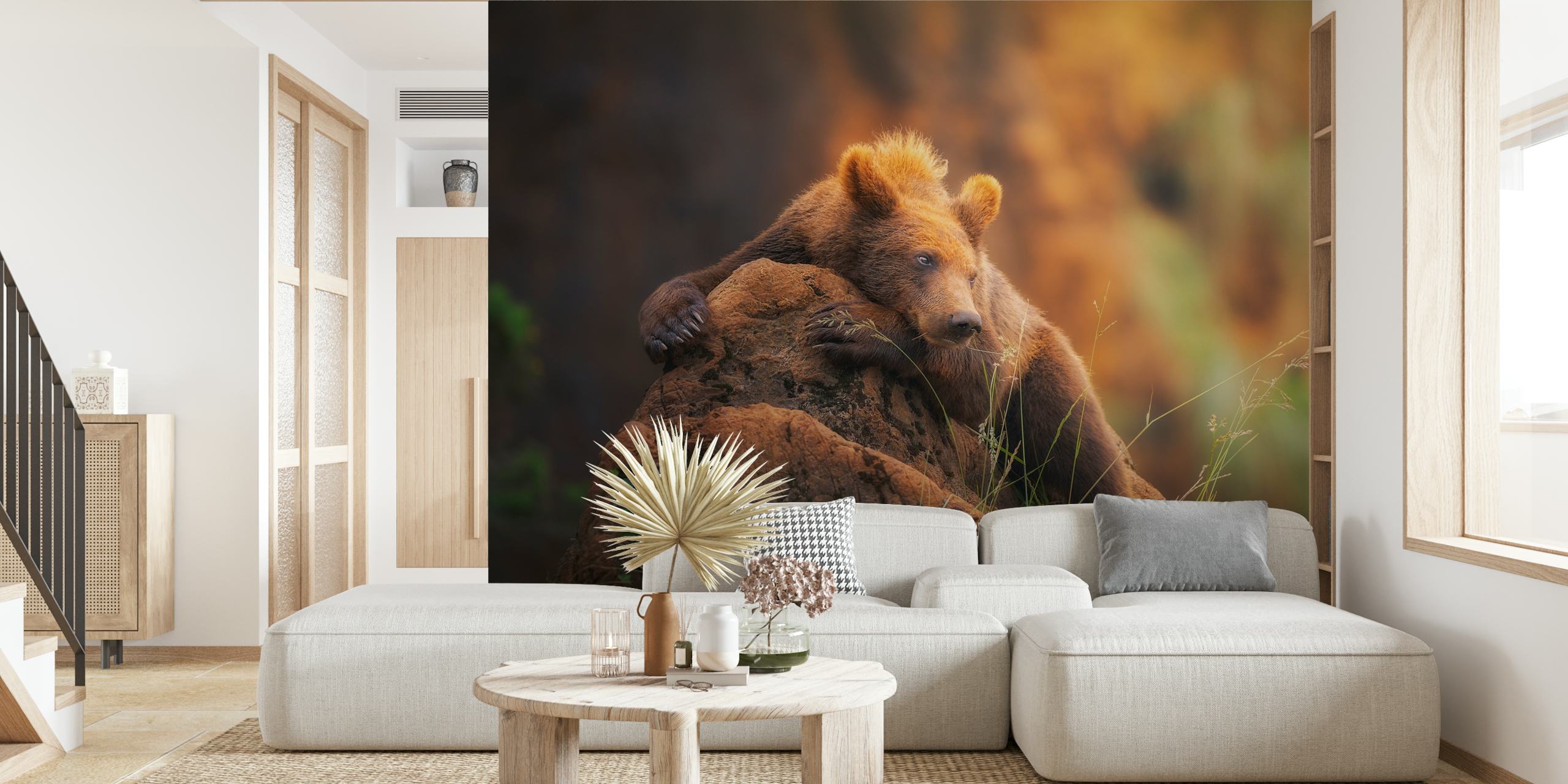 Bear resting with a soft-focus forest background wall mural