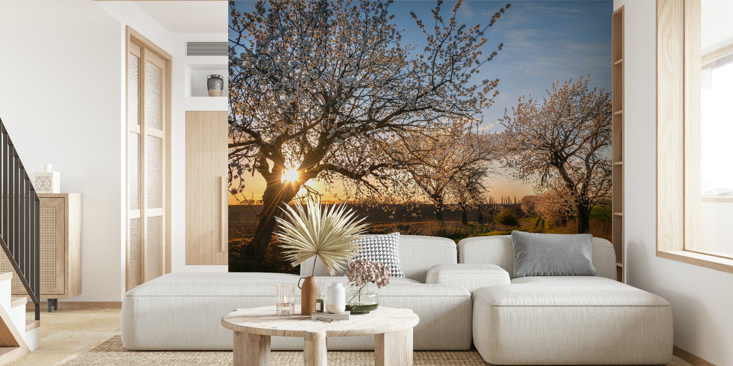 Cherry blossom wallpaper enhancing a room