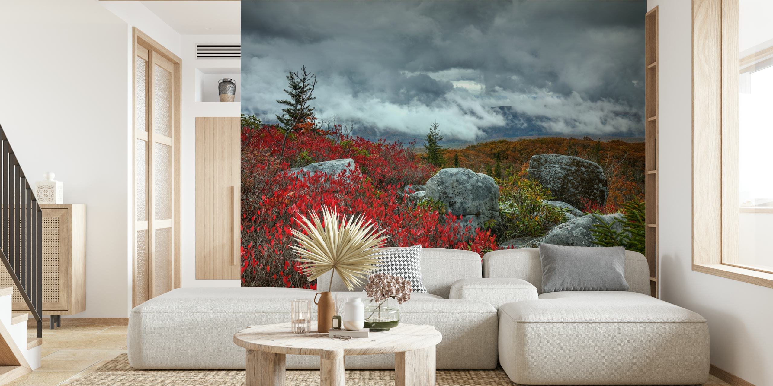 Storm over Dolly Sods Wilderness with vibrant red foliage and moody skies wall mural