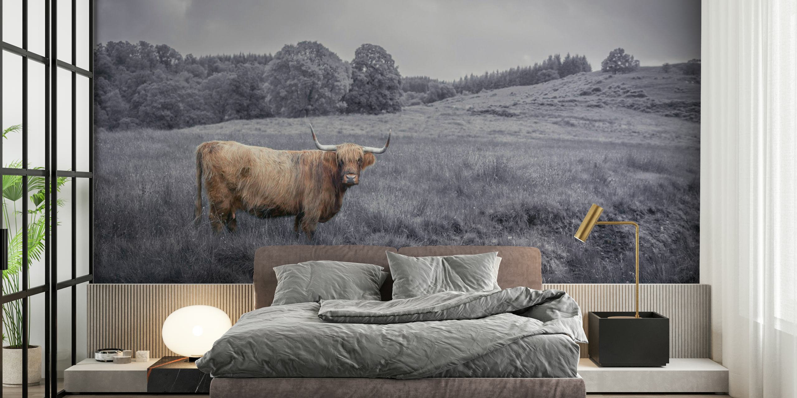 Majestic Highland Cow papel de parede