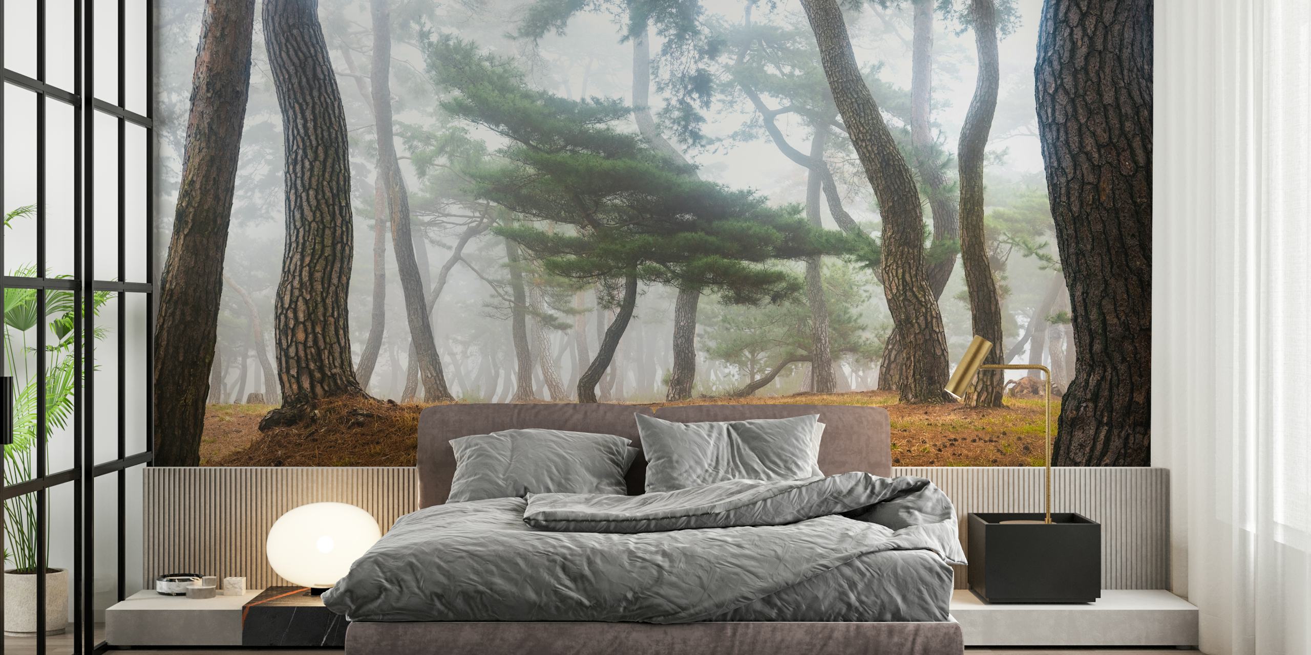 Misty forest wall mural depicting tall pine trees surrounded by a soft fog