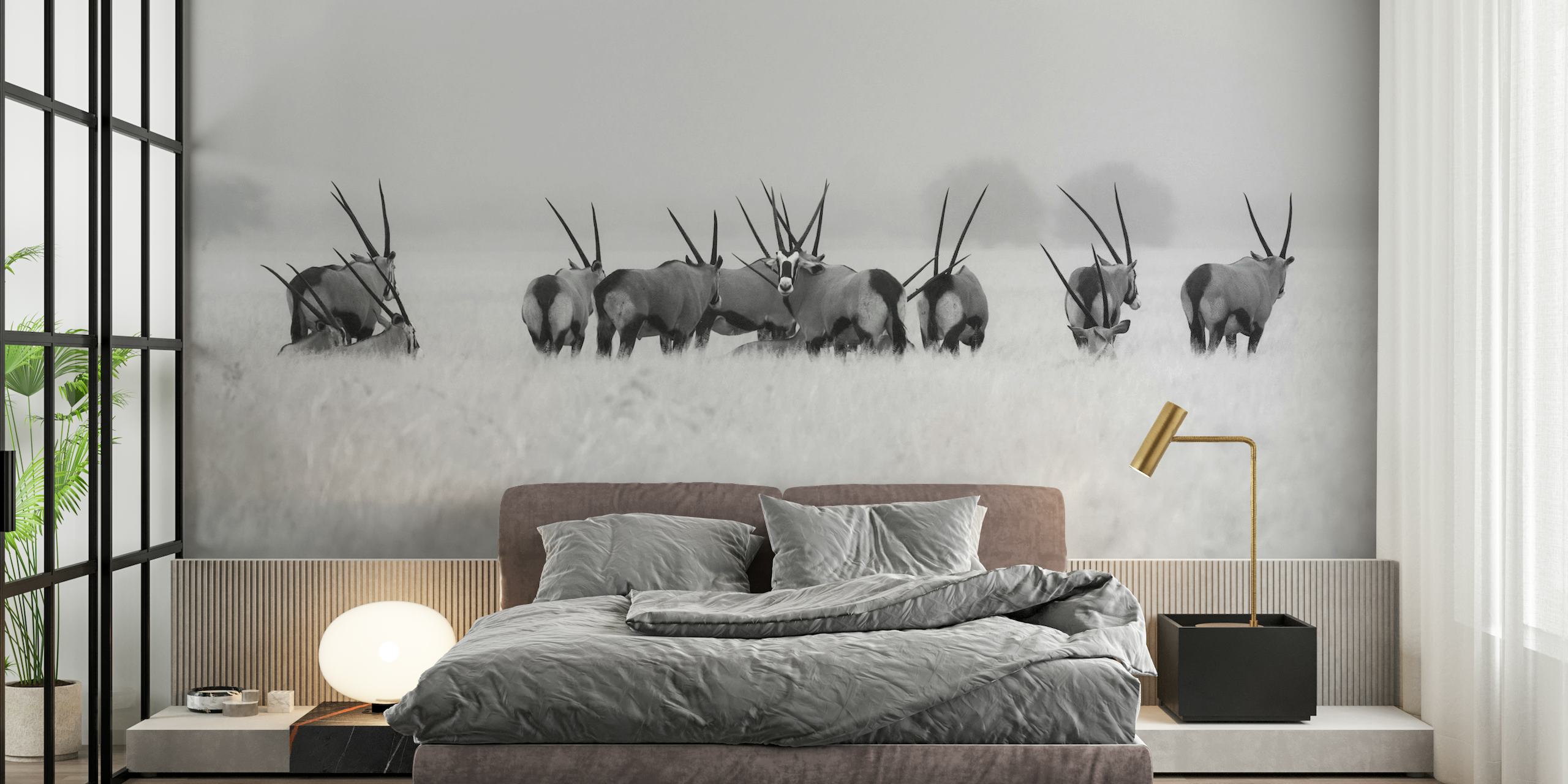 Oryx in the rain wallpaper