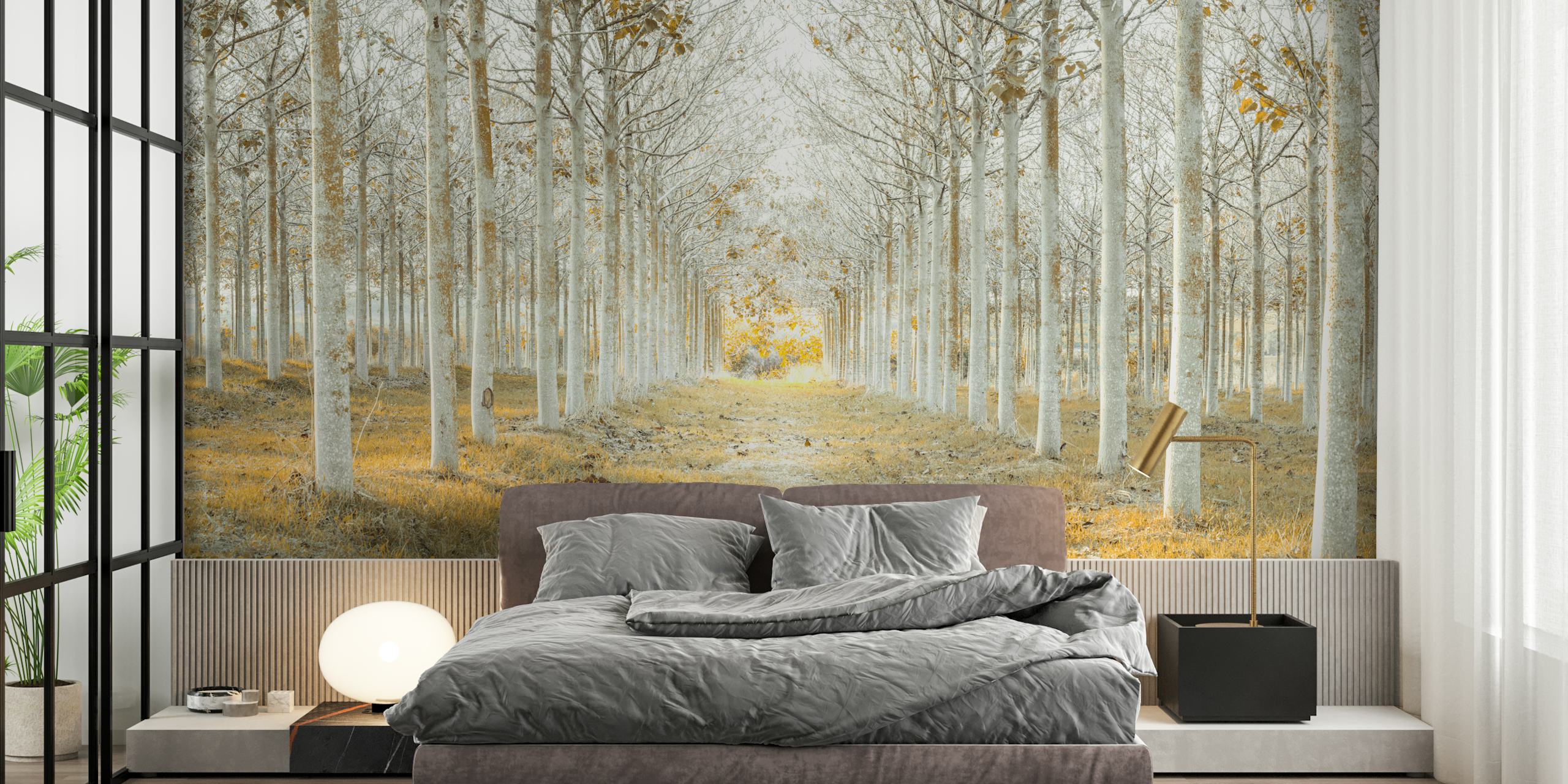 Row of Trees in Fall design de papel de parede