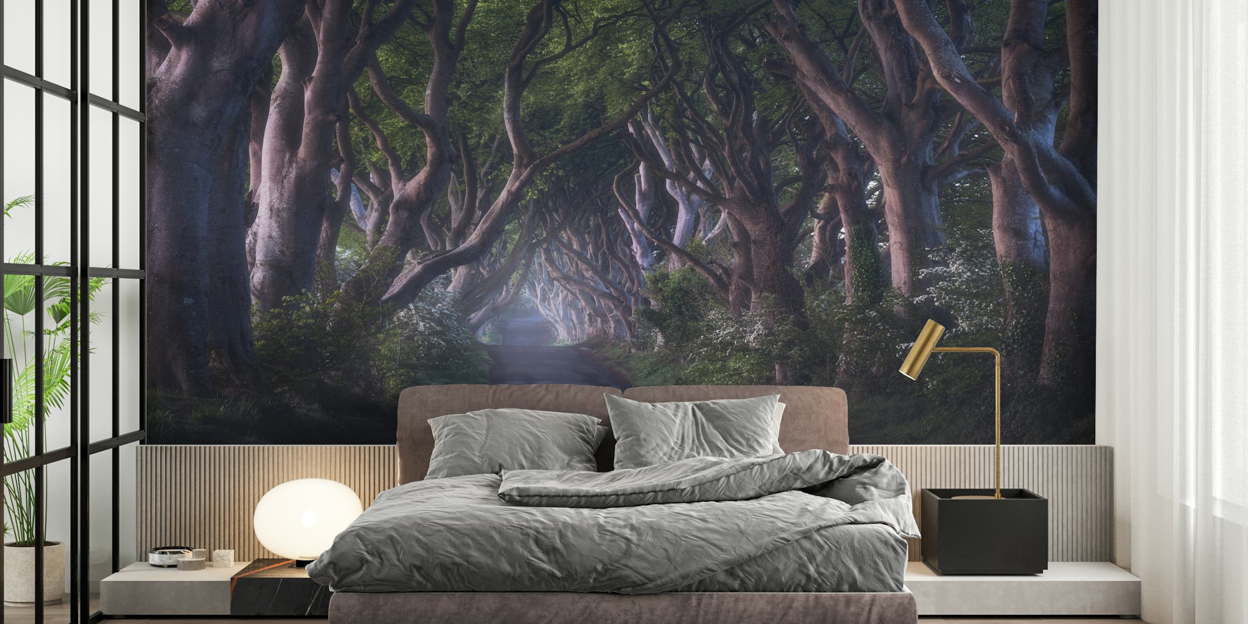 Tapeta The Dark Hedges w pokoju