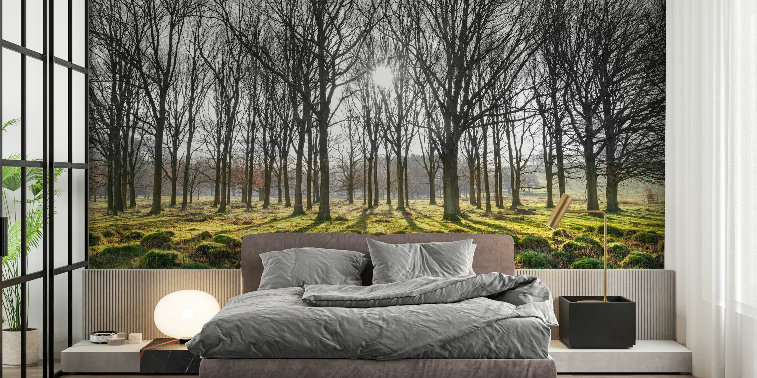 Forest illumination wallpaper design in a room