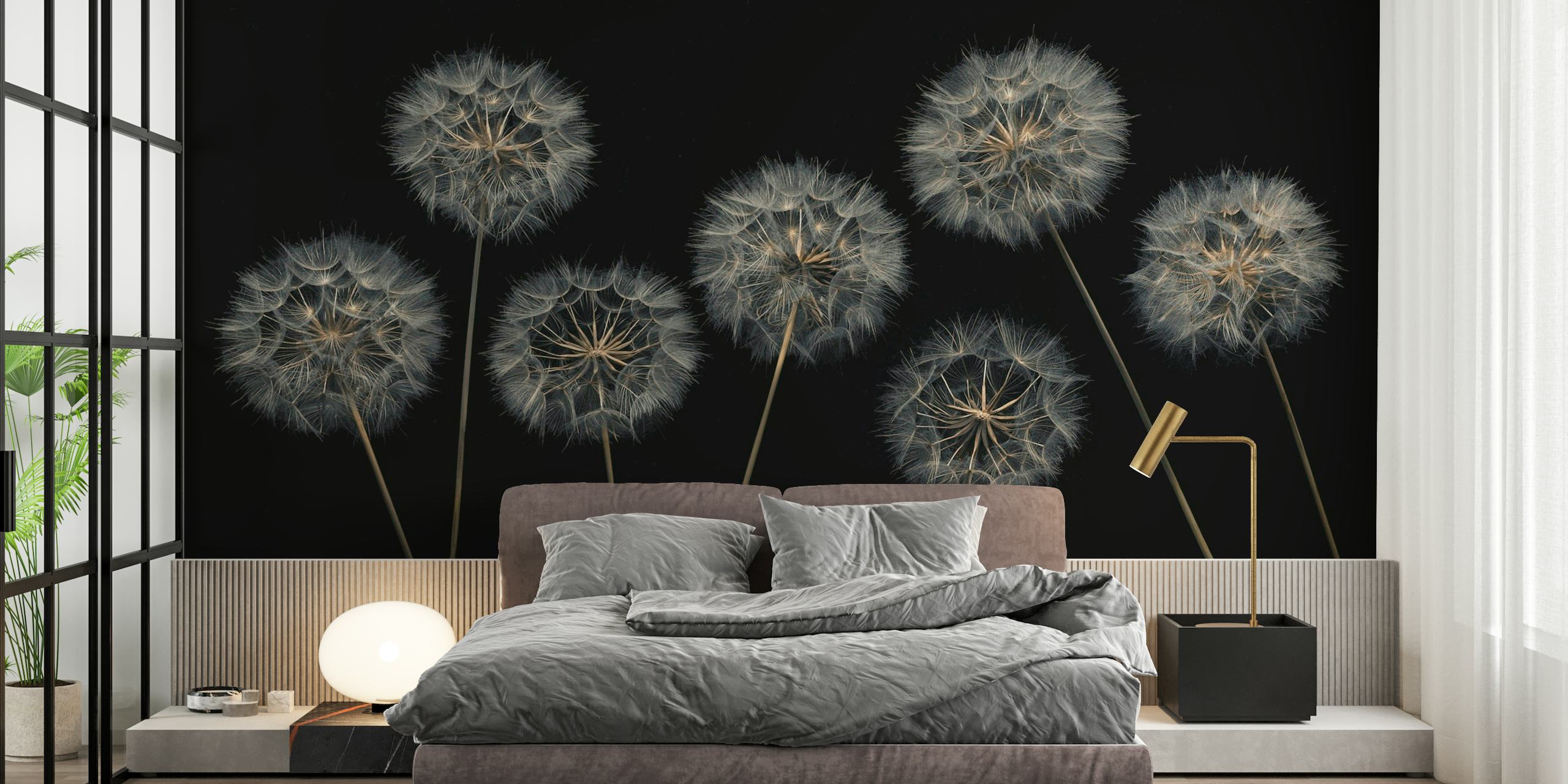 Dandelion flowers wallpaper