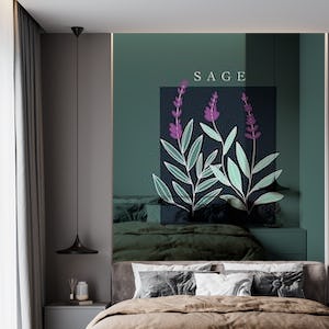Salvia-Sage
