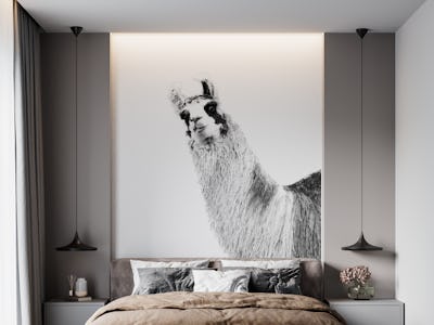 Cute Llama Black White 1