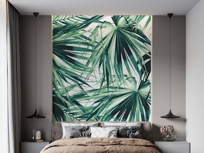Fan Palm Jungle Dream 2