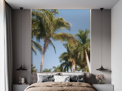 Floridian Palm Tree Vibes 1