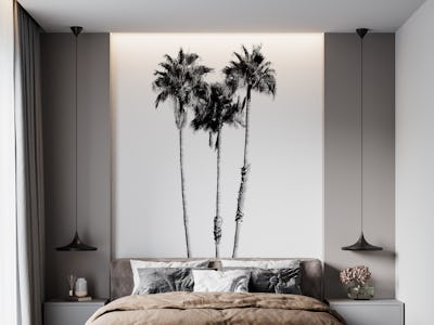 Palm Trees Black White Vibes 7