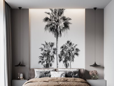 Palm Trees Black White Vibes 8