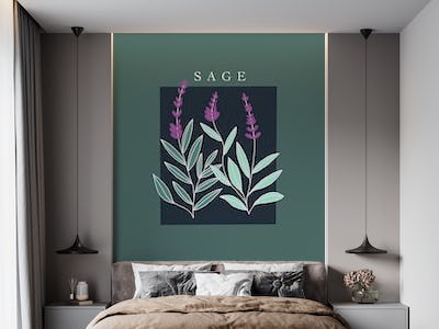 Salvia-Sage