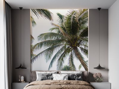 Mexican Palm Tree Vibes 2